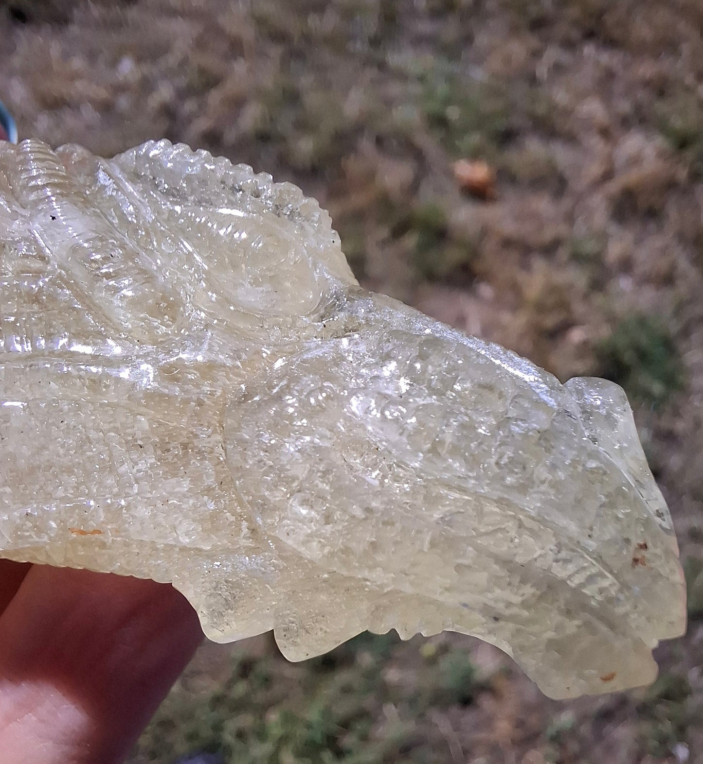 Libyan Desert Glass DRAGON HEAD carving, 48.11g, Tektite (Ref: Dragon4)