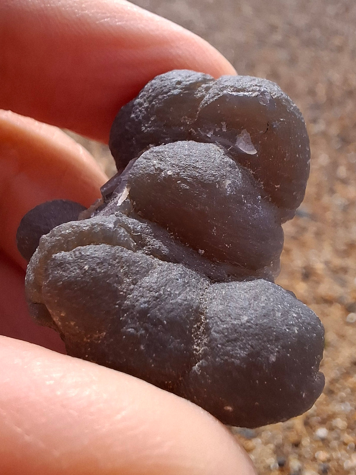 Nebula Chalcedony, 16.91g, Fossil (Ref: NC1)