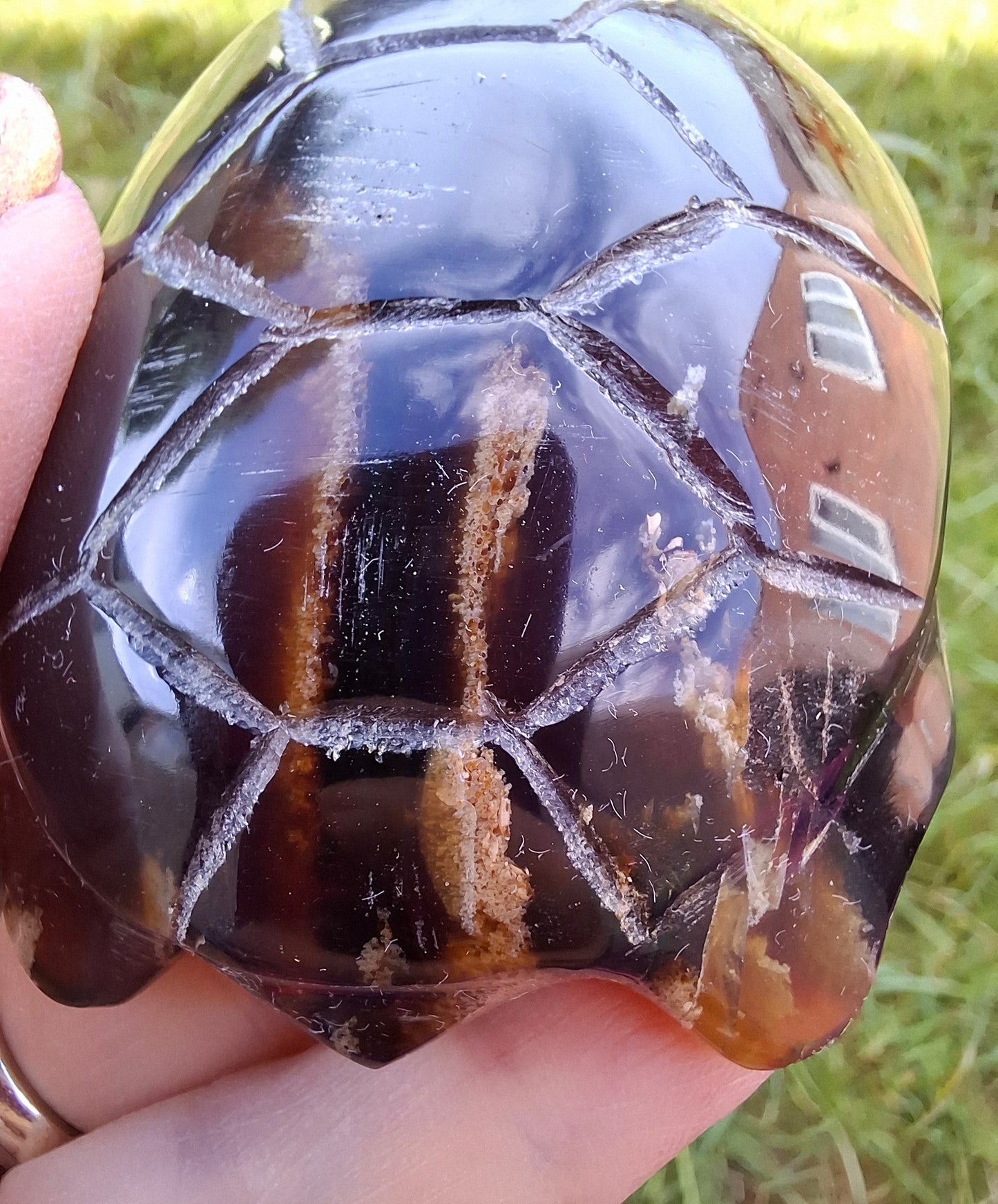 Red Amber Turtle, 52.00g, Carving, Fossil (Ref: TT3)