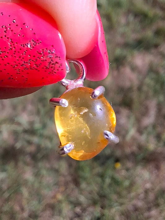 Baltic Amber Pendant, 925 Silver, Fossil (Ref: AP16)