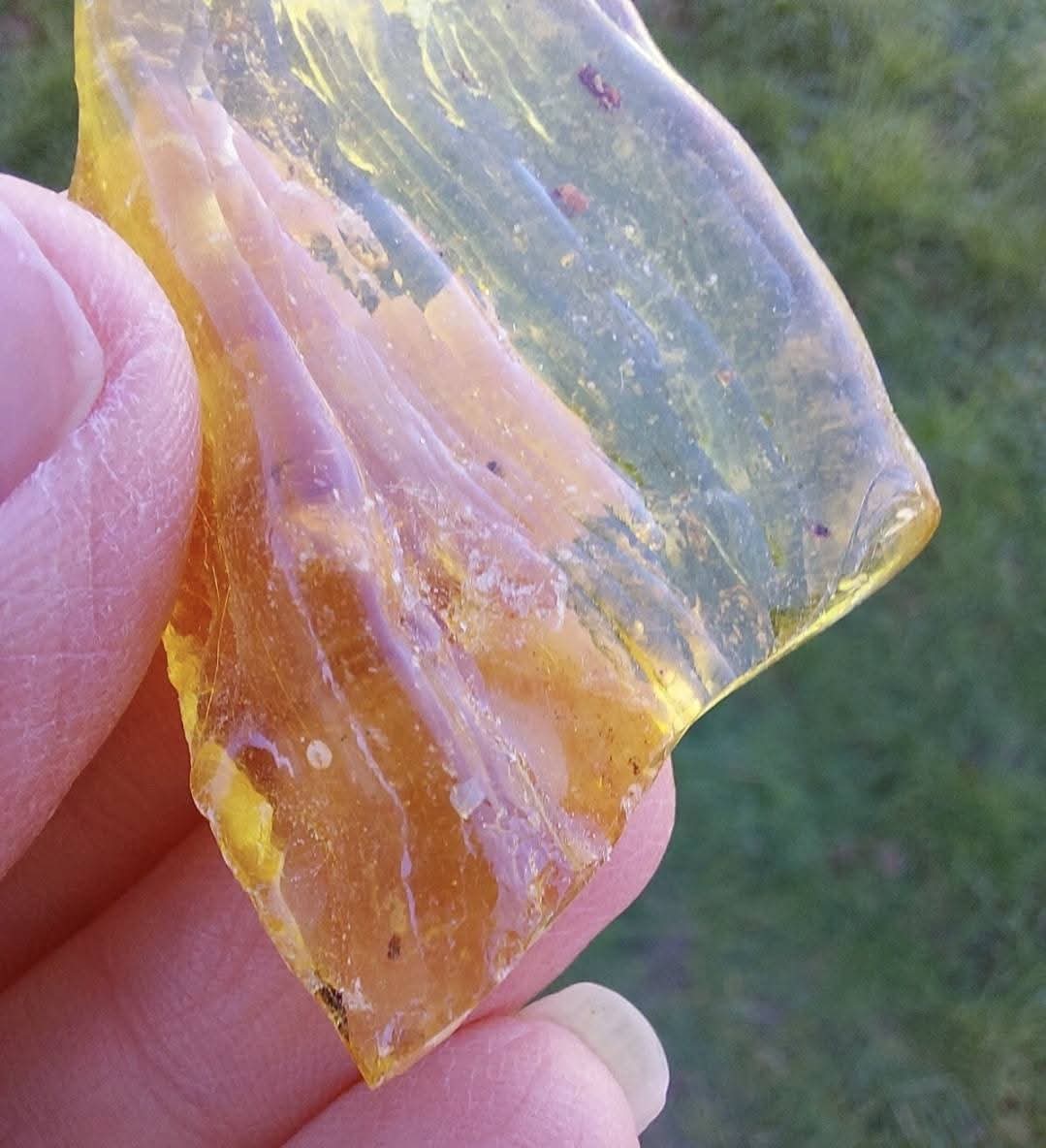 Copal Young Amber with INSECTS inside, 6.42g, Fossil (Ref: CA38)