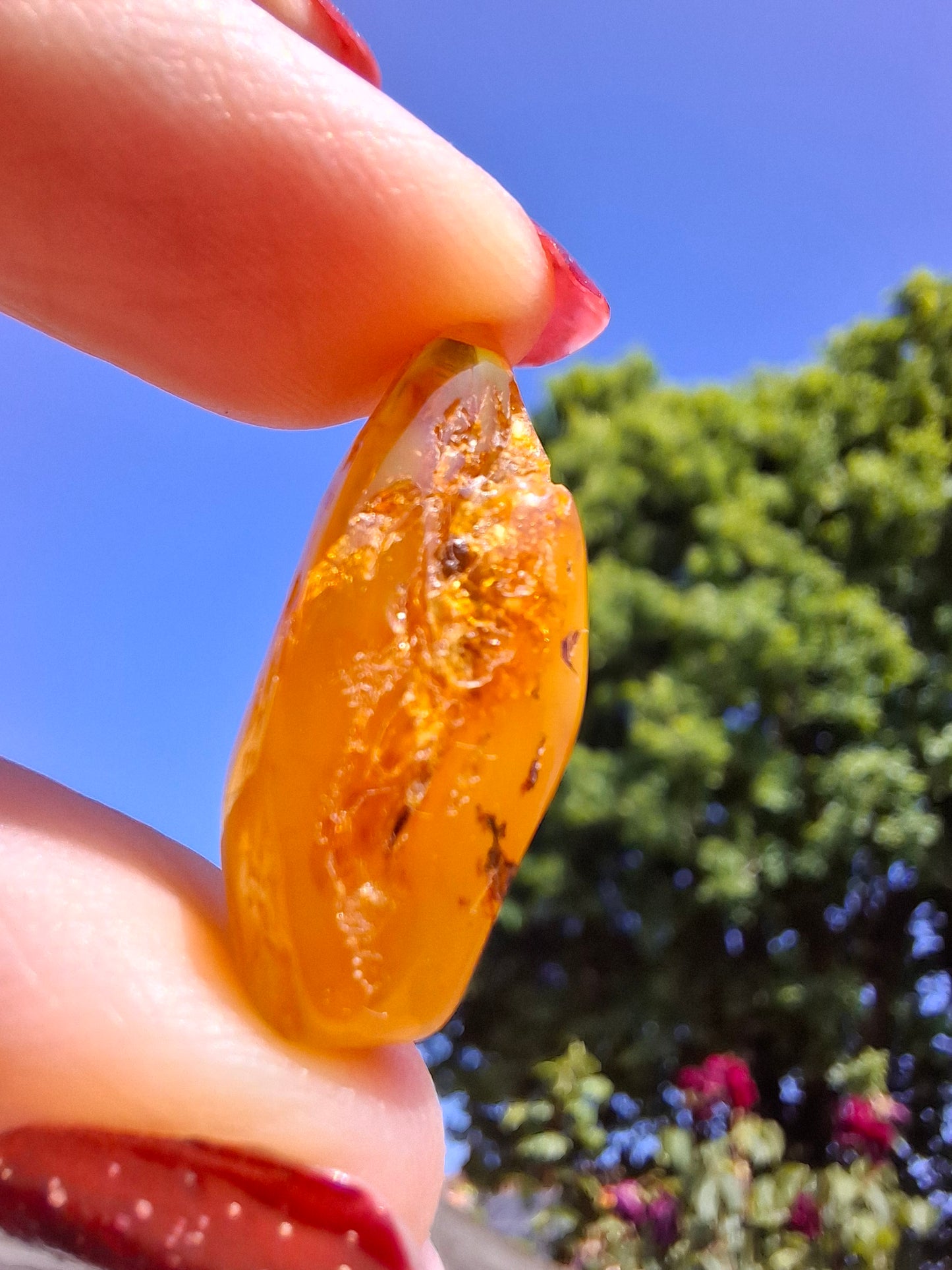 Baltic Amber, 1.68g, Fossil (Ref: A233)