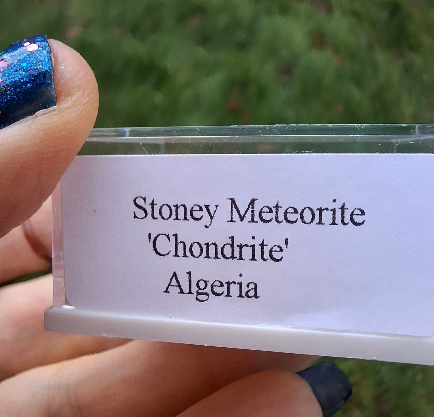 Chrondrite, Meteorite (Ref: CM4)