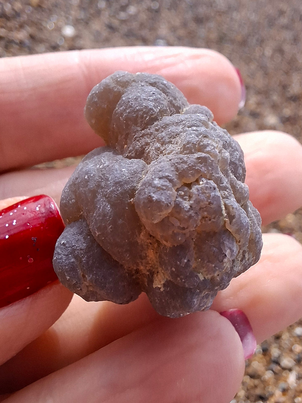 Nebula Chalcedony, 16.57g, Fossil (Ref: NC10)