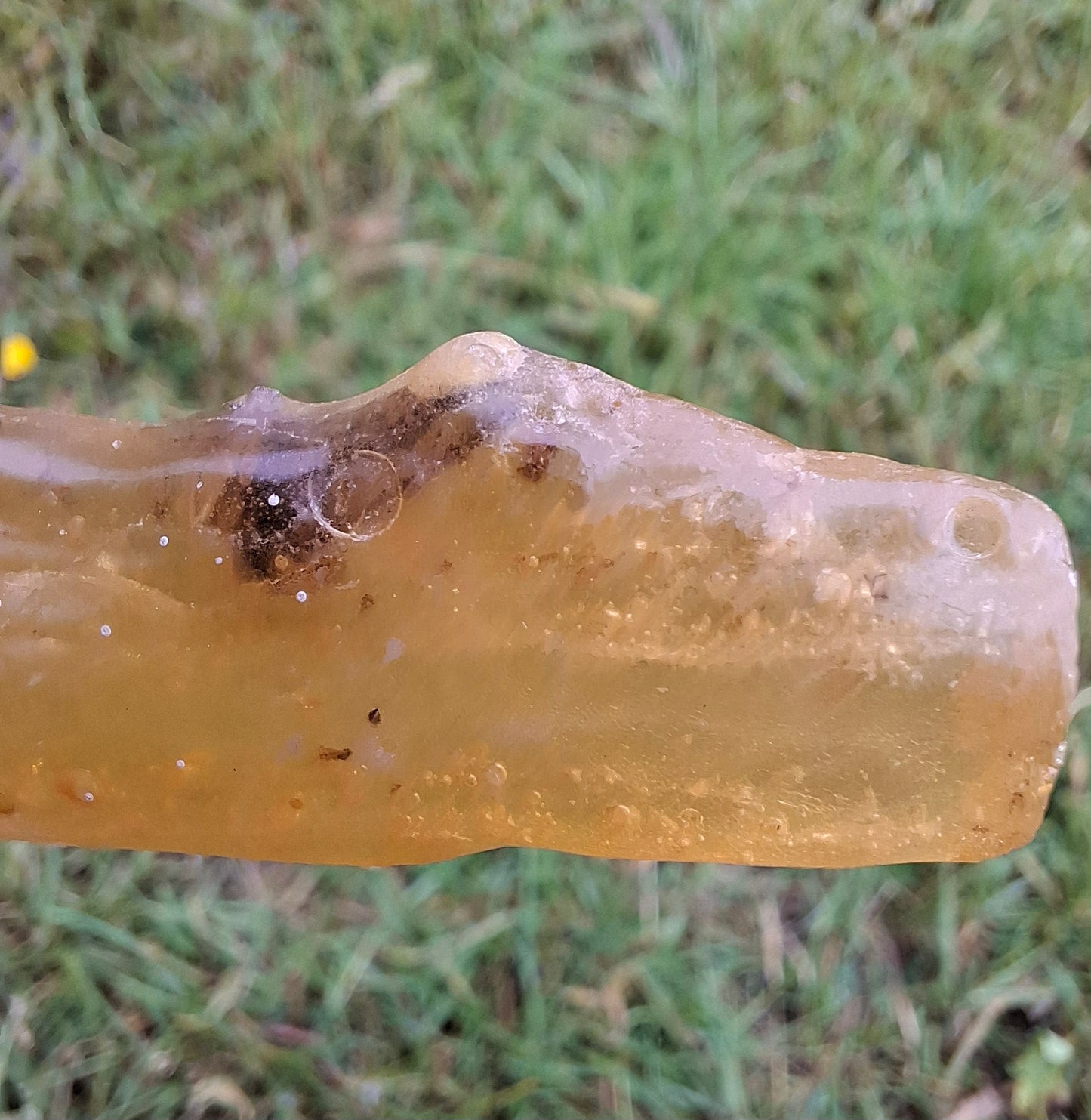 Copal Young Amber with INSECTS inside, 18.29g, Fossil (Ref: CA33)