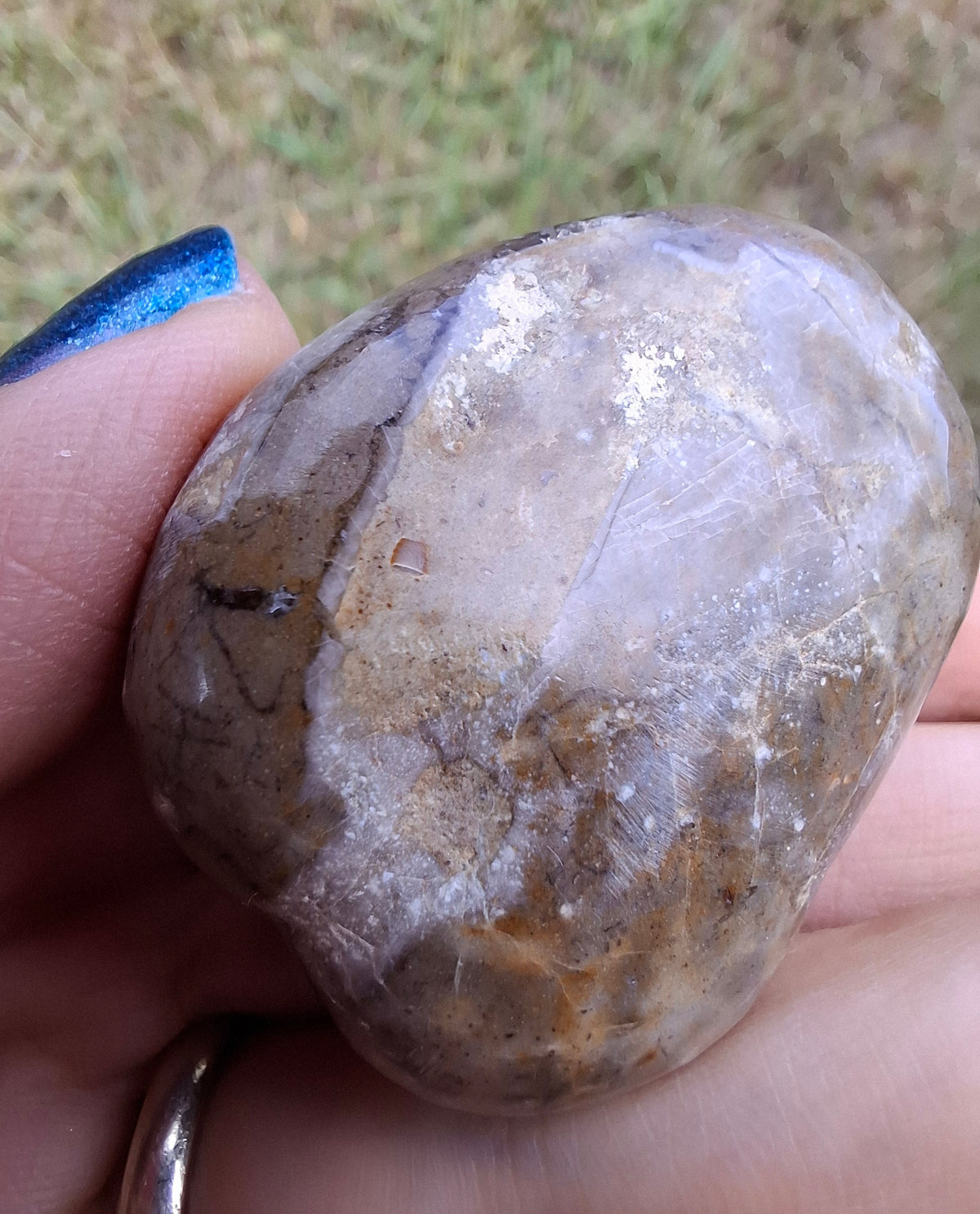 Polished Sea Urchin, Fossil (Ref: SU2)