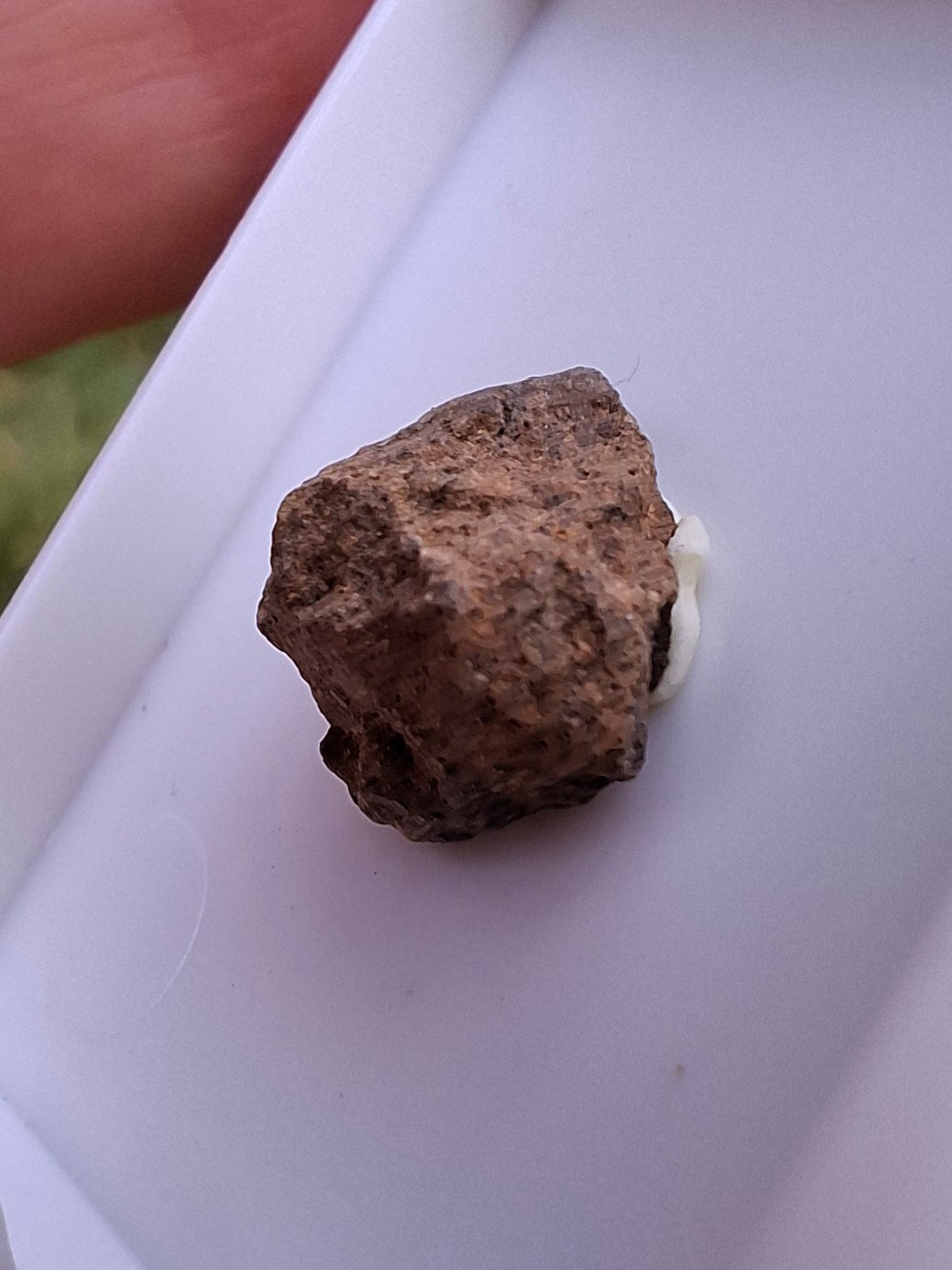 Chondrite, Meteorite (Ref: CM9)