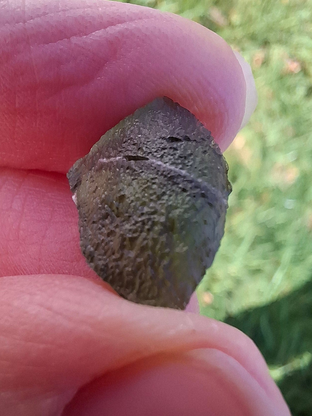 Moldavite Piece, 1.13g, Tektite (Ref: 1335)