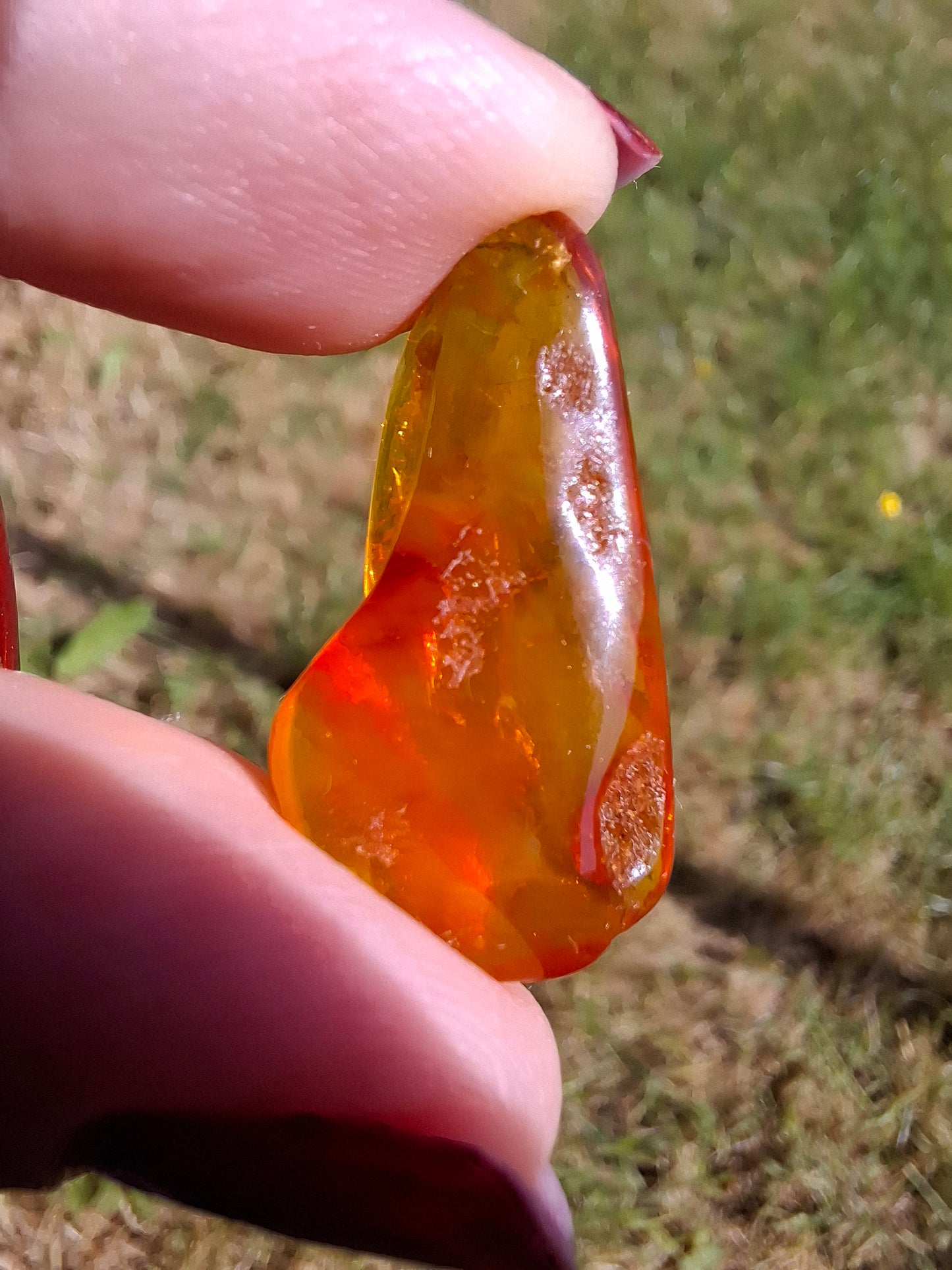 Baltic Amber, 1.48g, Fossil (Ref: A221)