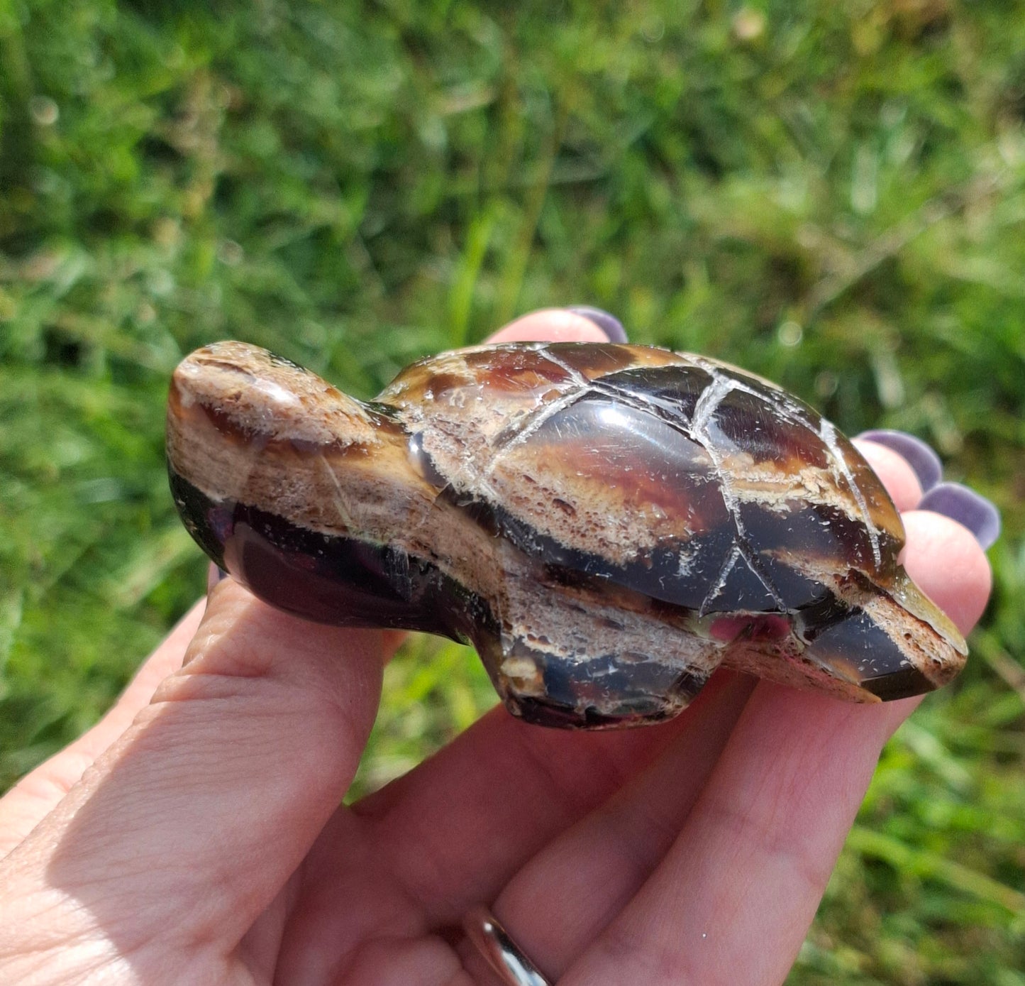 Red Amber Turtle, 56.87g, Carving, Fossil (Ref:TT7)