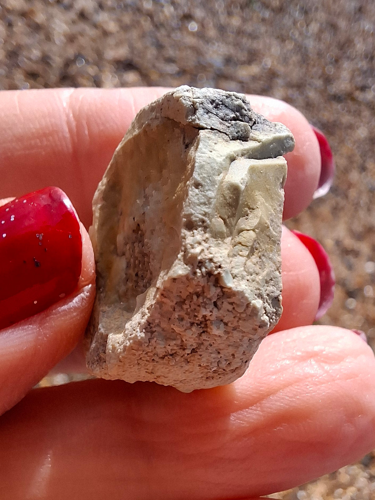 Sauropod Dinosaur Coprolite, 9.31g, Fossil (Ref: DP2)