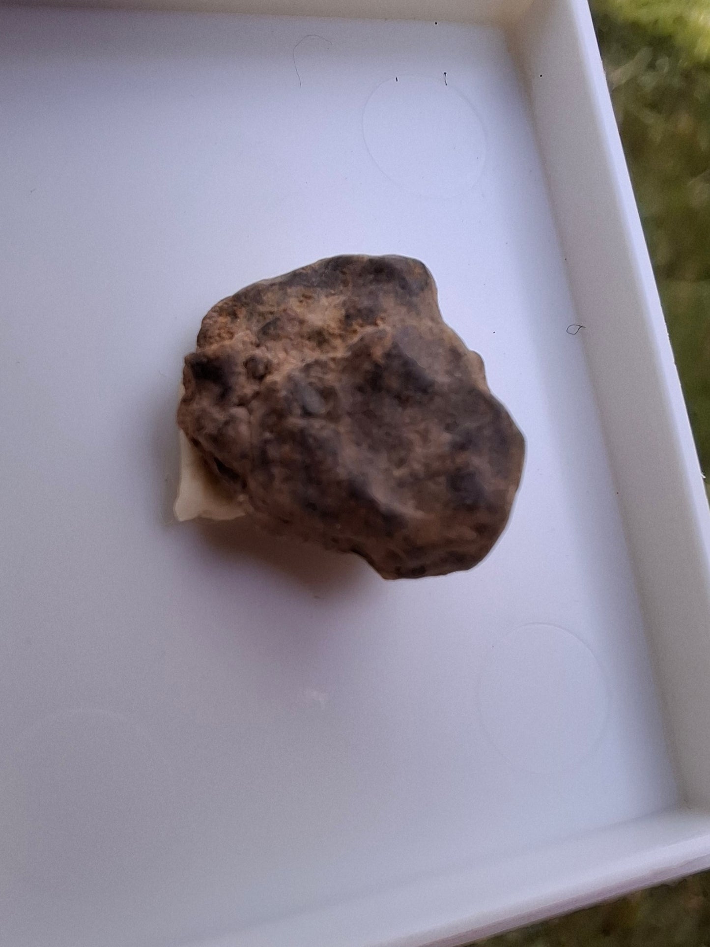 Chondrite, Meteorite (Ref: CM5)