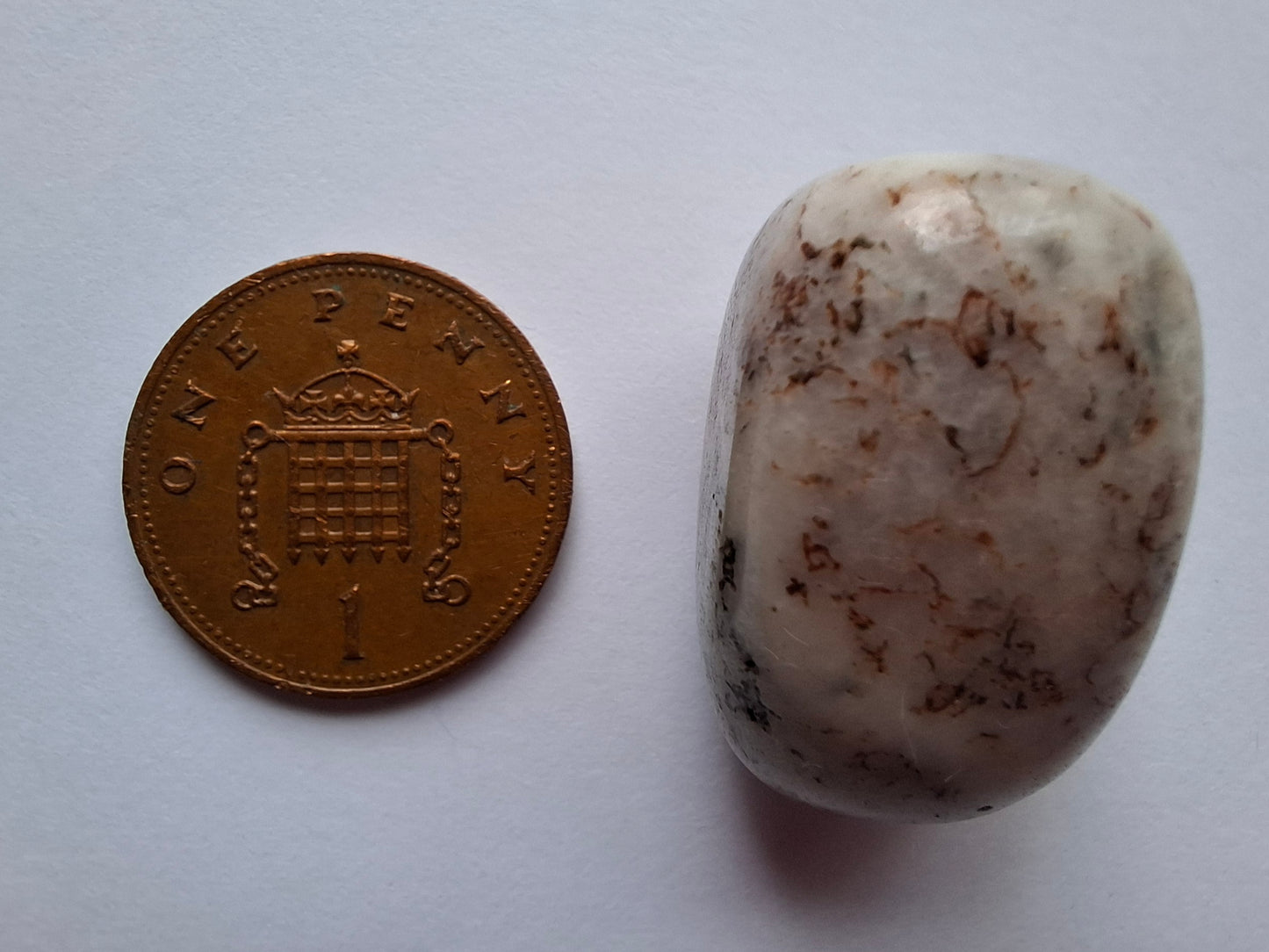 Tree Agate, Tumble Stone, Crystal (Ref: T6)