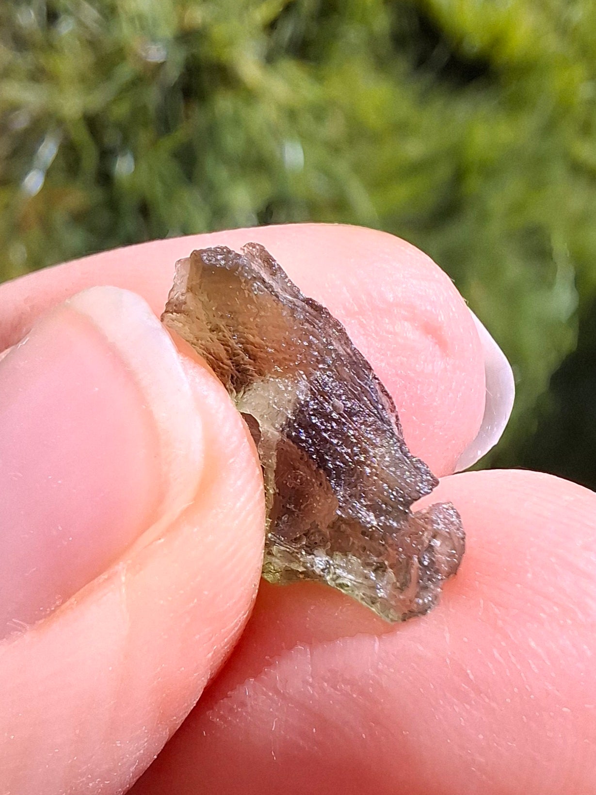 DRILLED, Moldavite Piece, 0.75g, Tektite (Ref: D23)