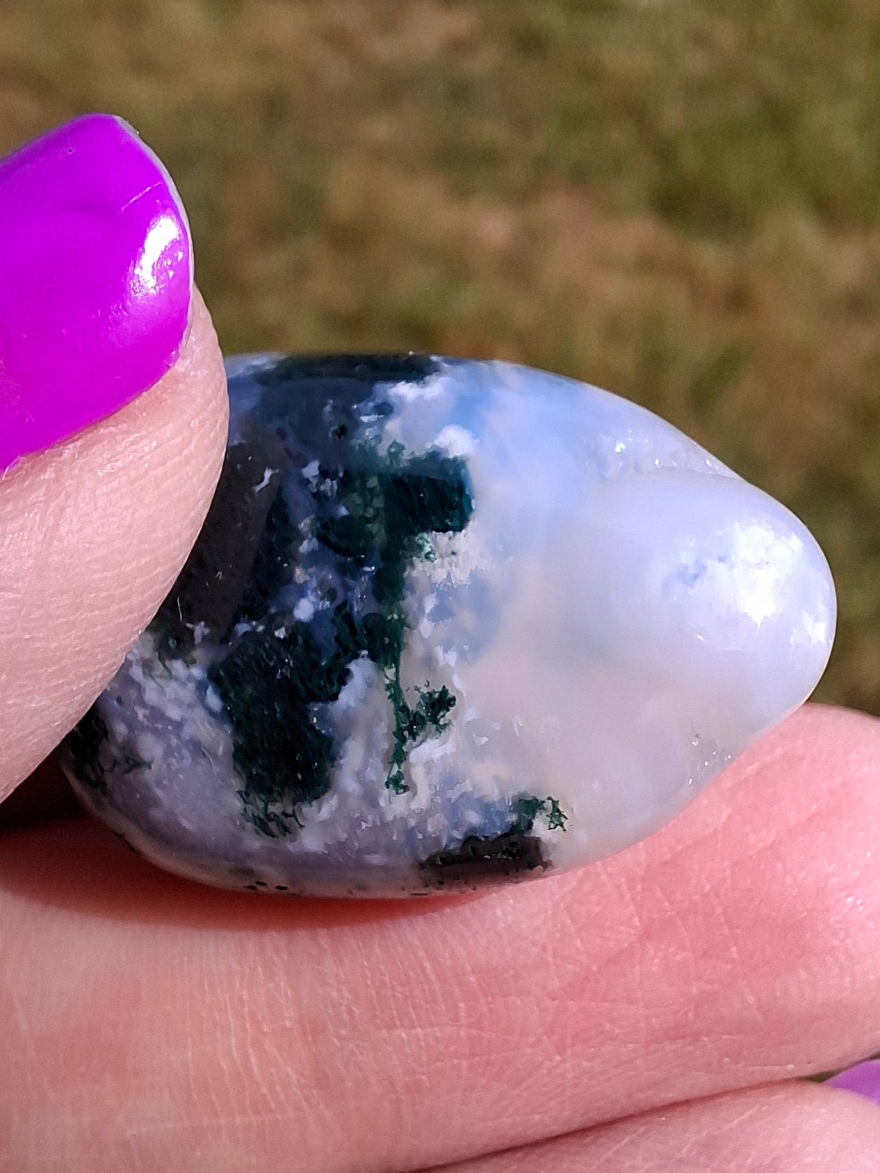 Tree Agate, Tumble Stone, Crystal (Ref: T2)