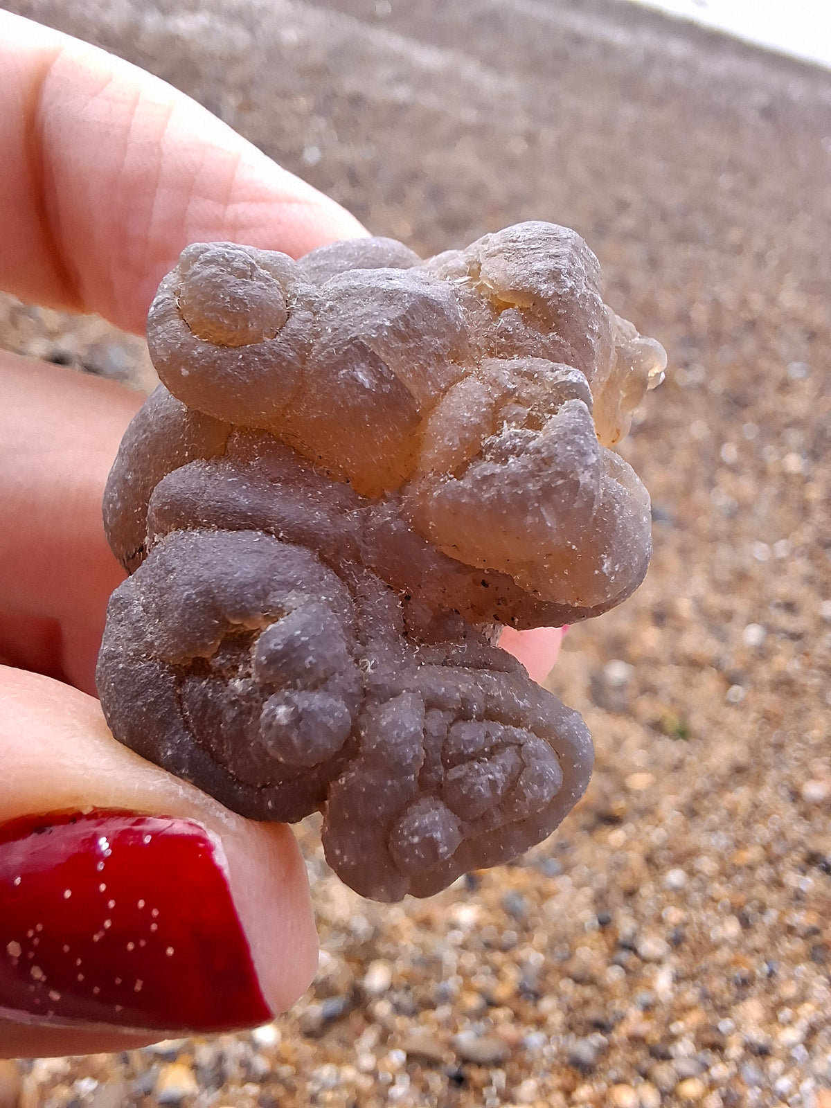 Nebula Chalcedony, 18.80g, Fossil (Ref: NC9)