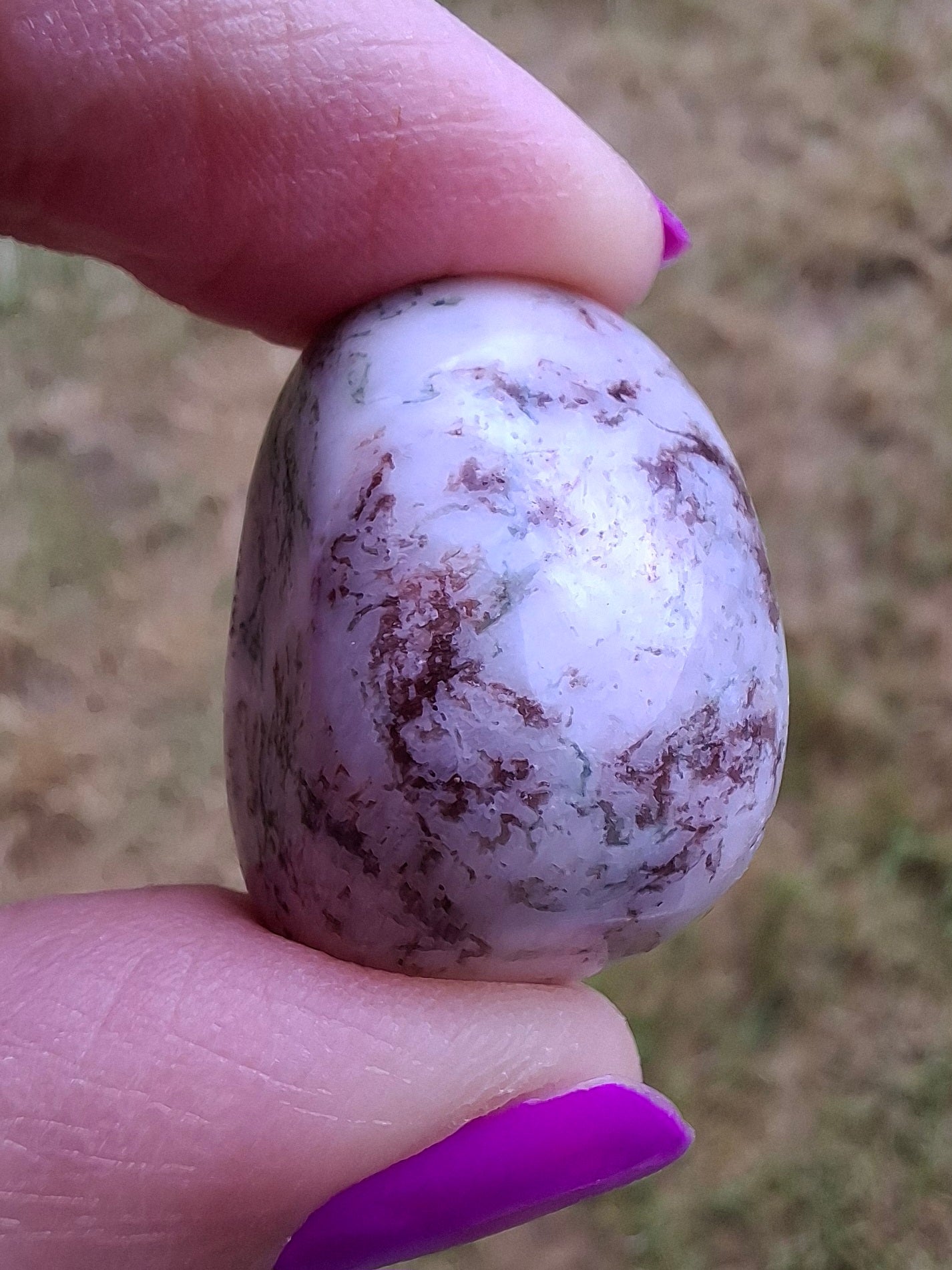 Tree Agate, Tumble Stone, Crystal (Ref: T6)