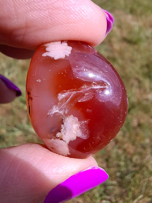 Carnelian, Tumble Stone, Crystal (Ref: T61)