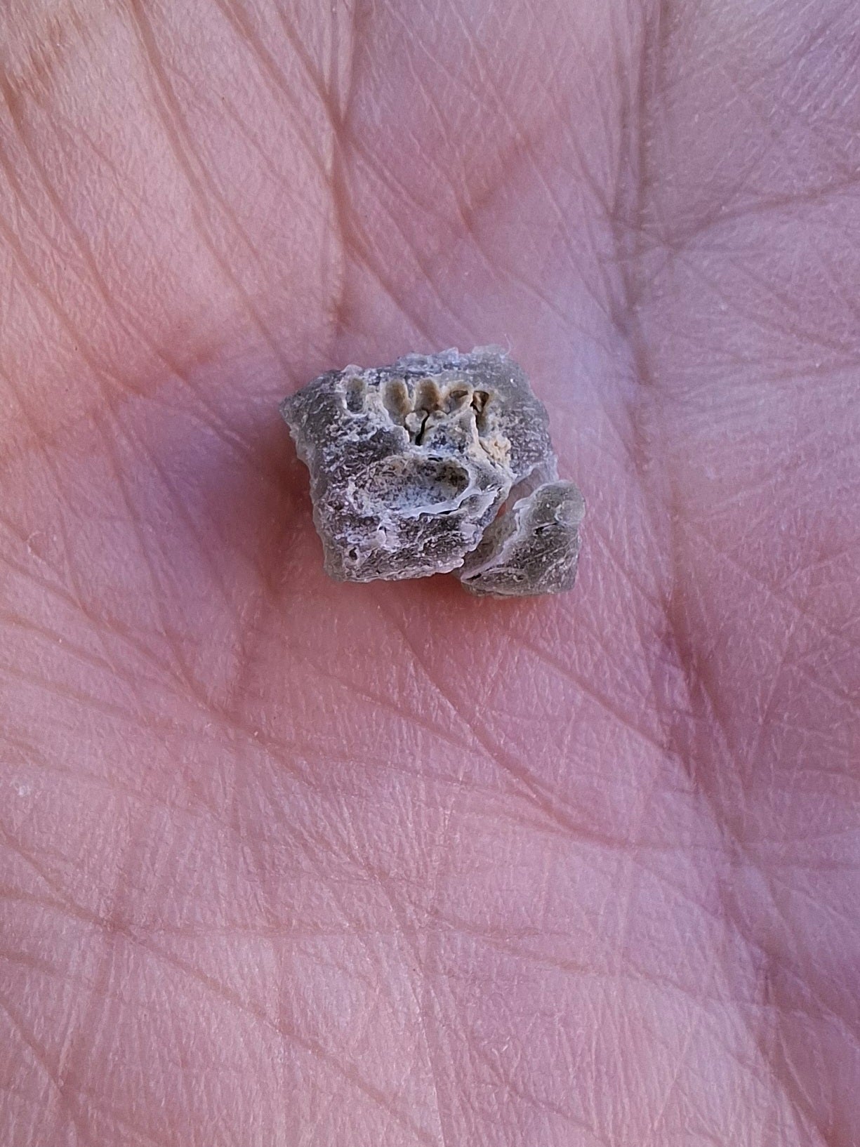 Moldavite Piece, SNOWFLAKE, FROSTED, BRUSNA, 0.31g, Tektite (Ref: 1500)