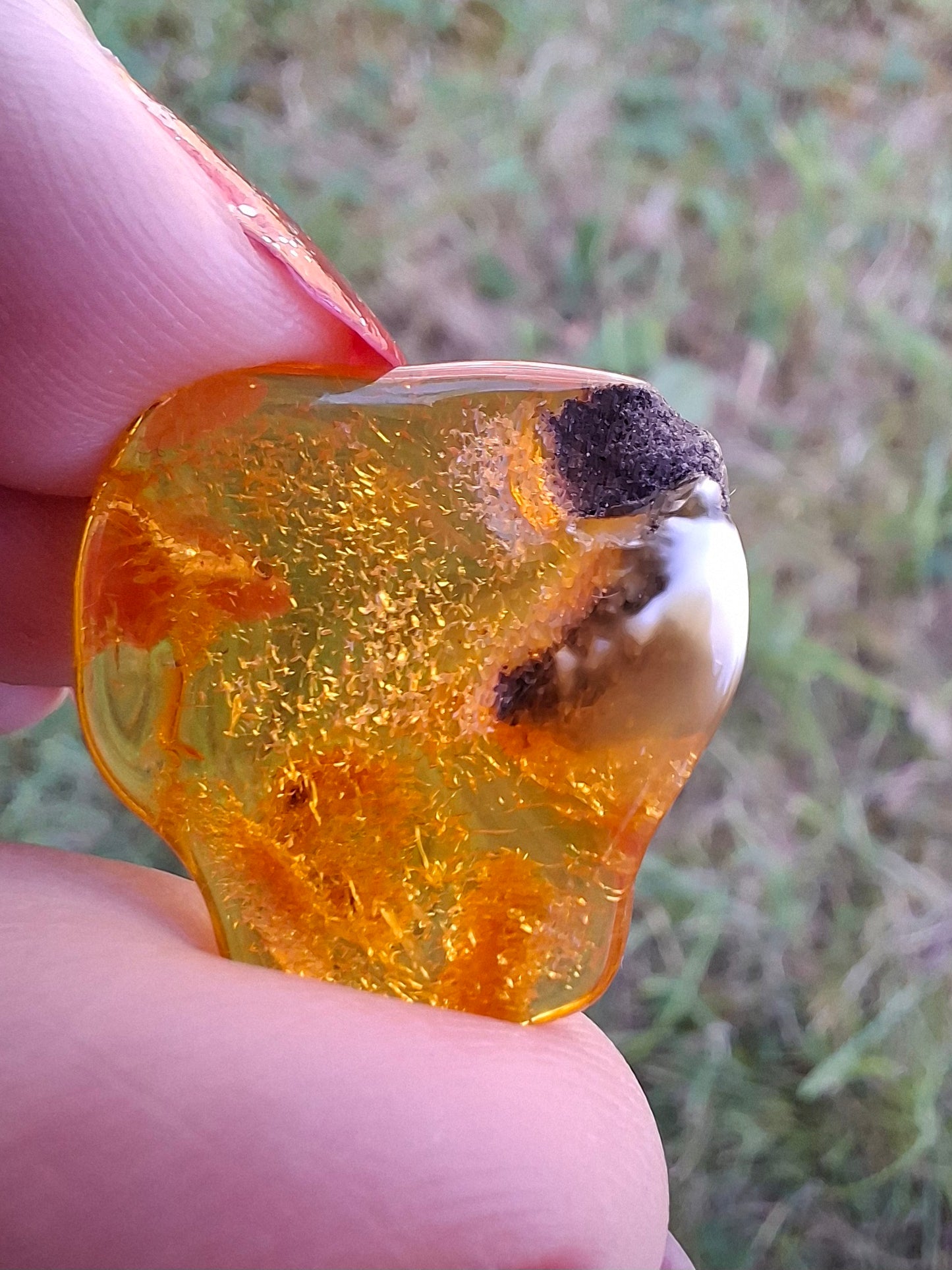 Baltic Amber, 1.45g, Fossil (Ref: A76)