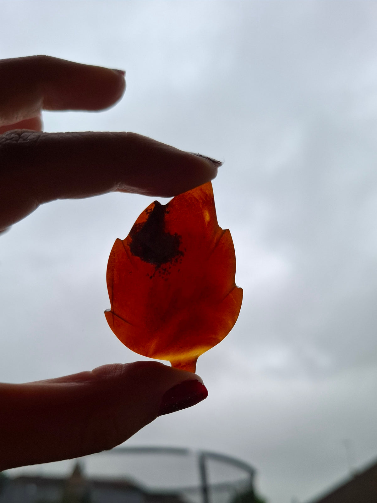 Red Amber Leaf Carving, 7.65g, Fossil (Ref: Leaf9)