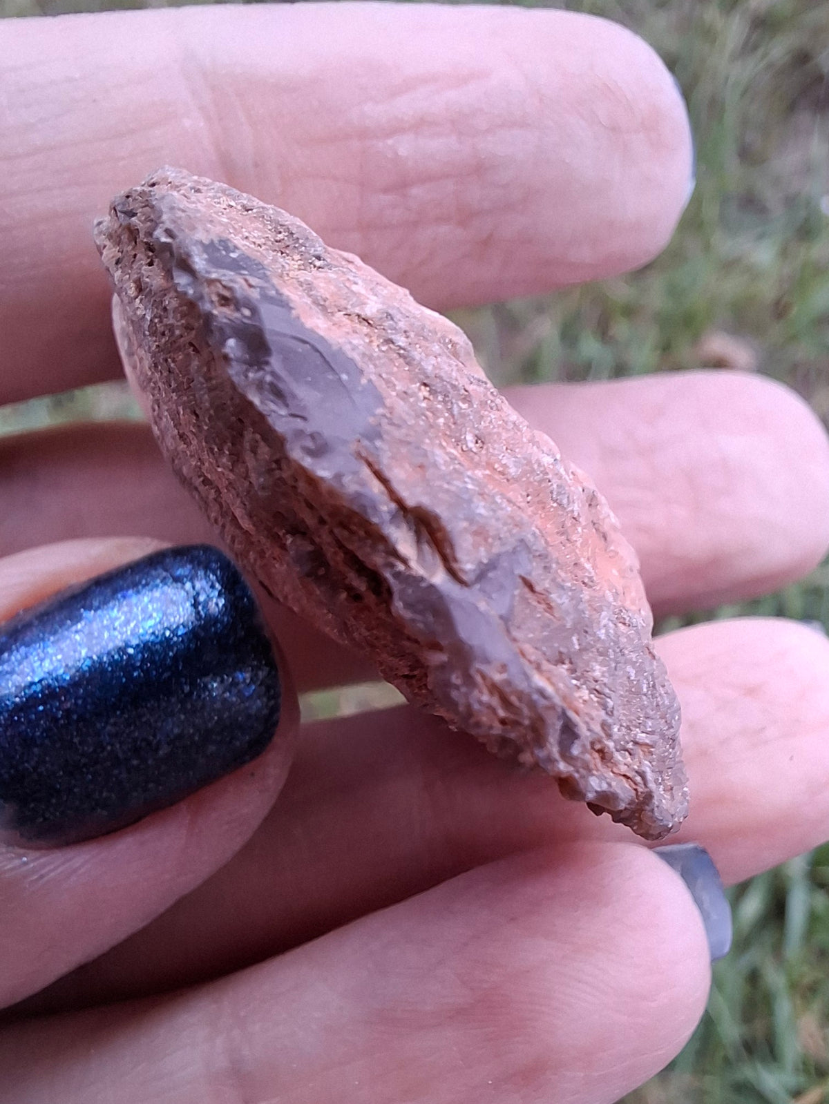 Chalcedony Oyster, Fossil (Ref: FO9)