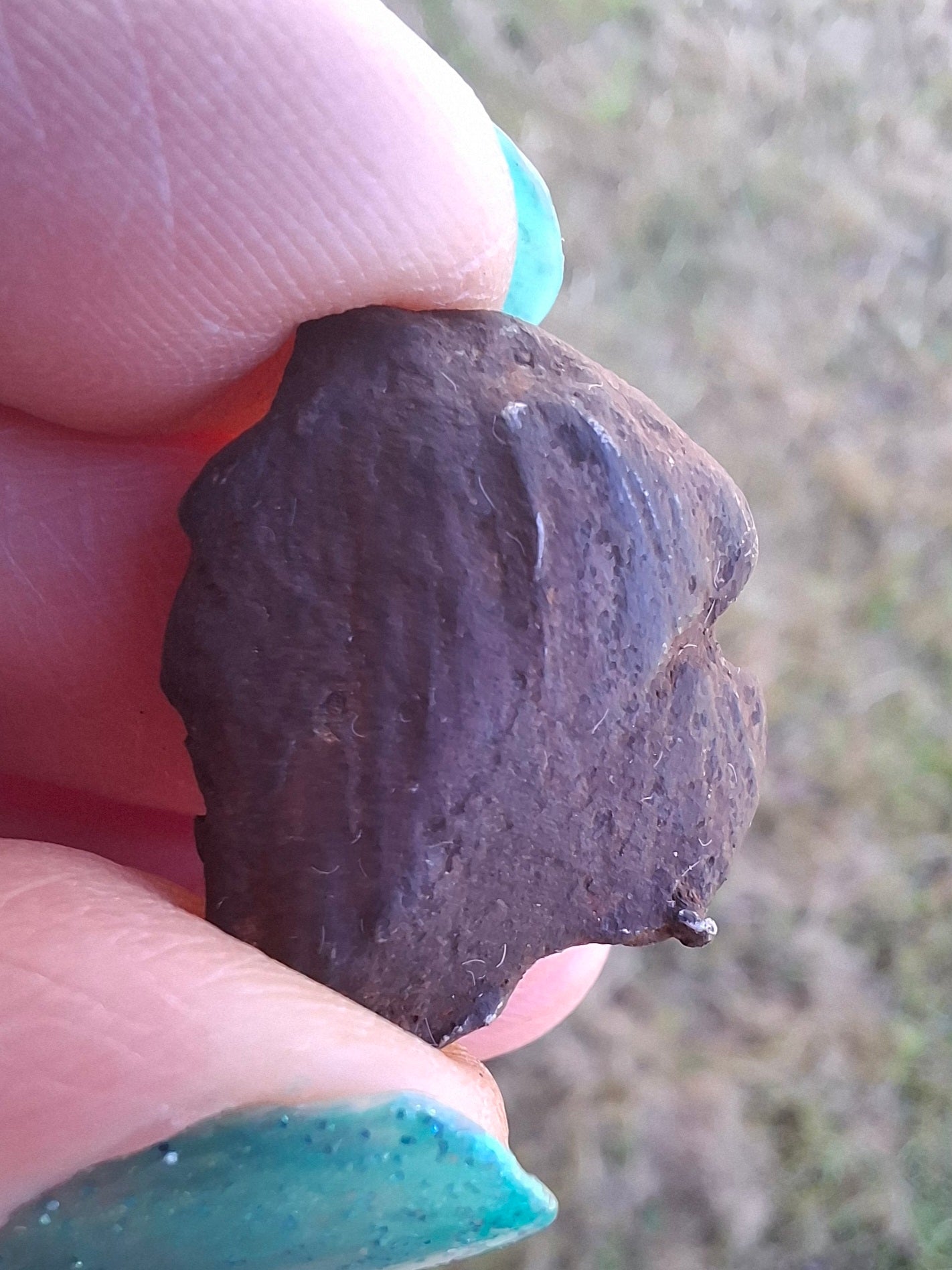 Gebel Kamil Iron Meteorite, 11.21g (Ref: K48)