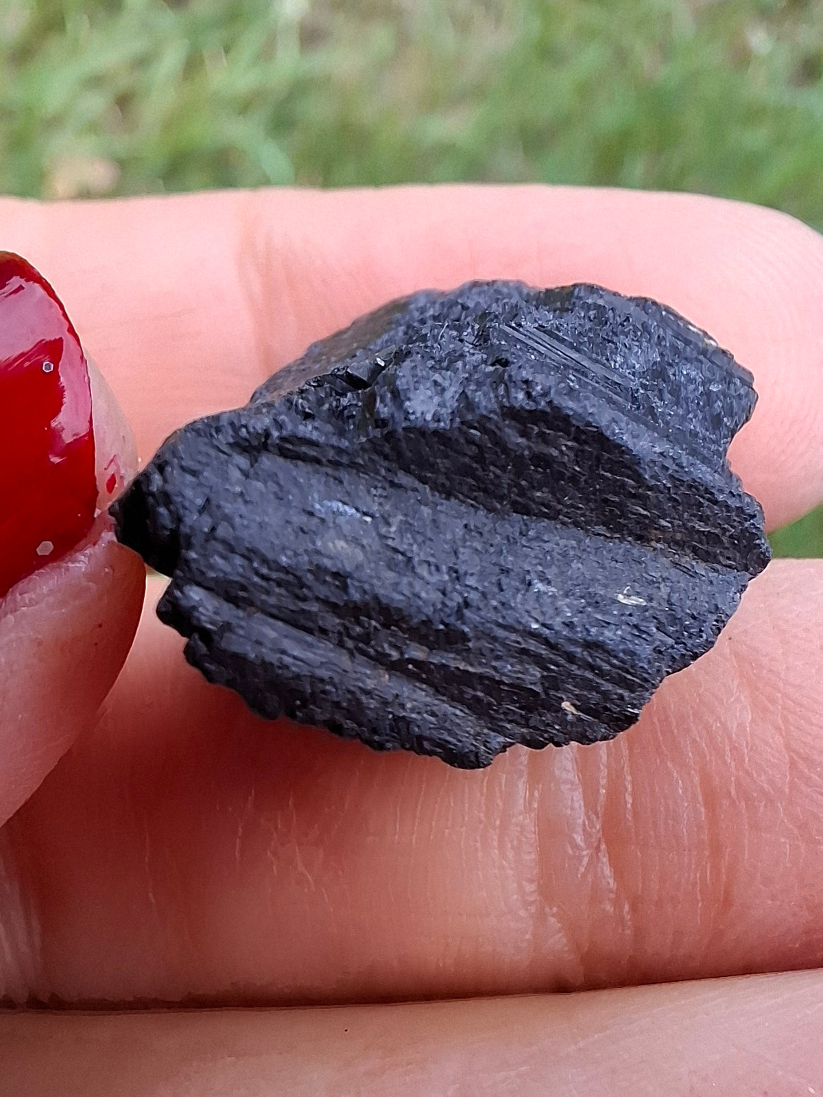 Black Tourmaline RAW, 8.86g, Crystal (Ref: RBT3)