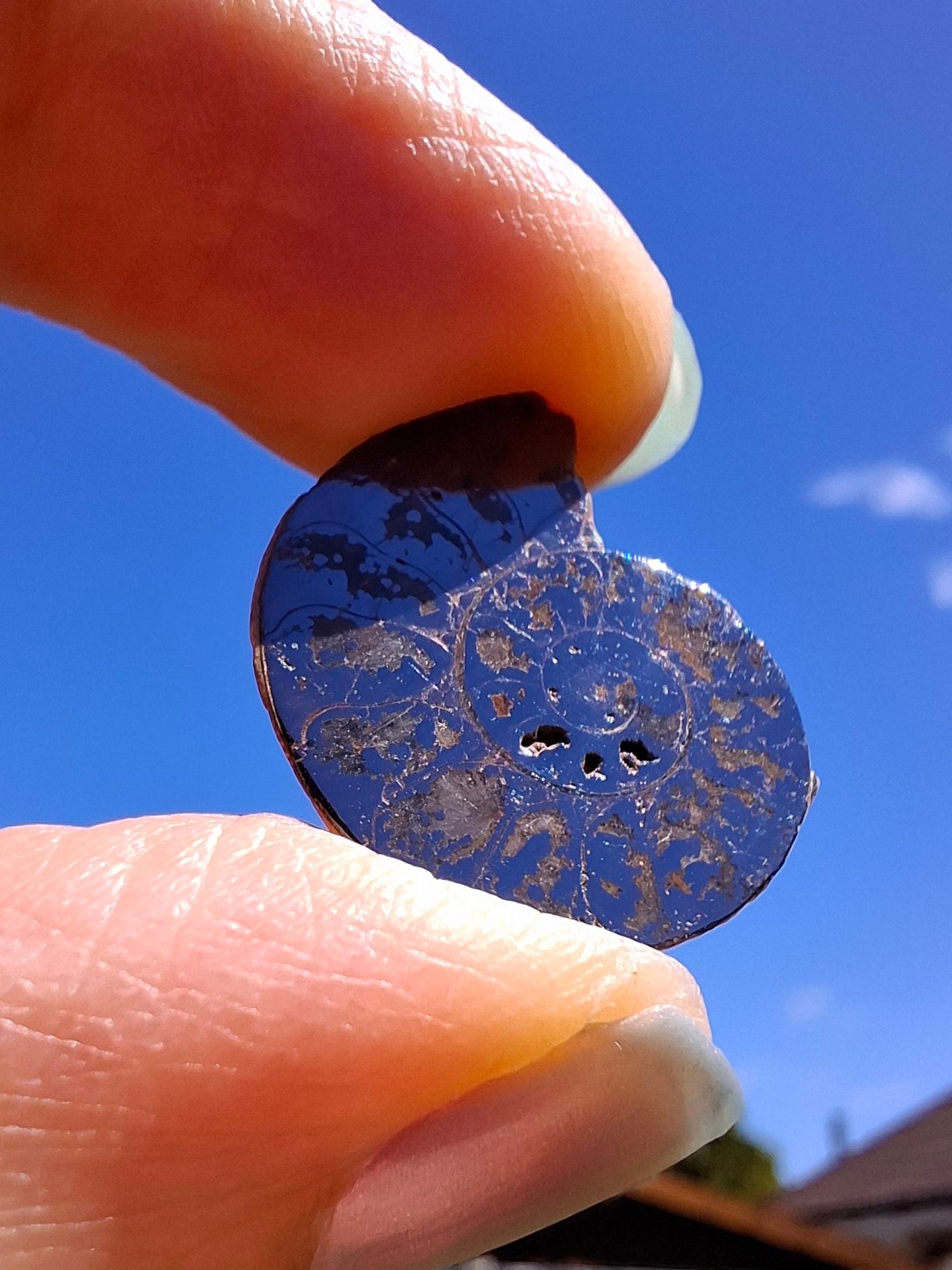 Small Haematite Ammonite HALF, 2.19g, Fossil (Ref: MA3)