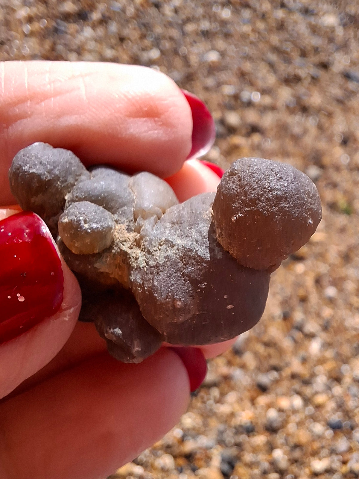 Nebula Chalcedony, 13.55g, Fossil (Ref: NC8)