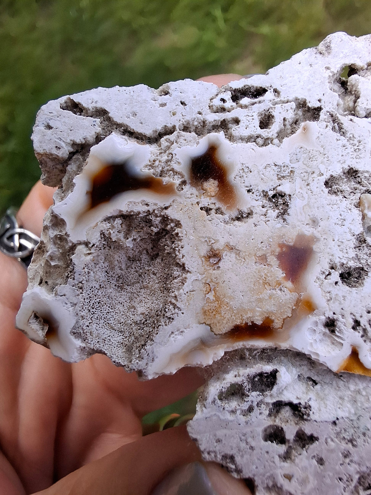 Fossilised Coral replaced by Chalcedony/Agate, Fossil (Ref: FCA1)