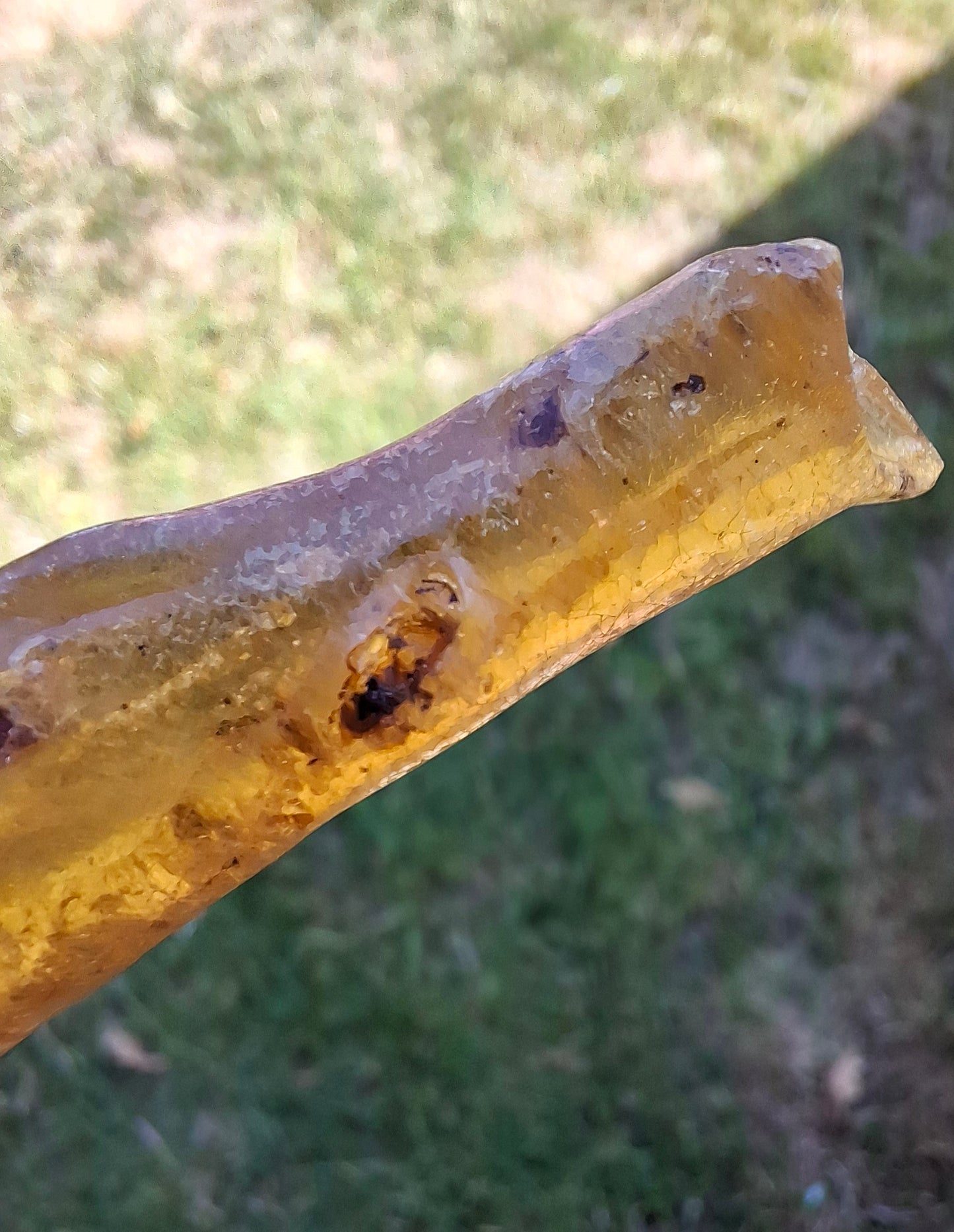 Copal Young Amber with INSECTS inside, 5.07g, Fossil (Ref: CA35)
