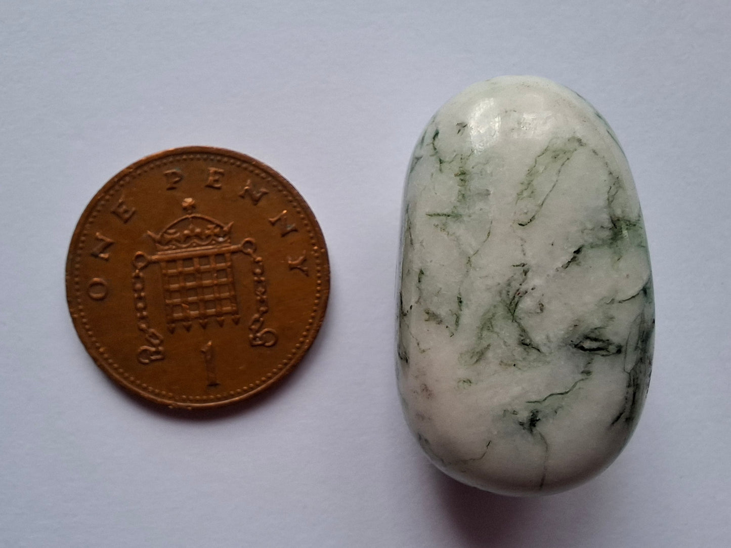 Tree Agate, Tumble Stone, Crystal (Ref: T3)