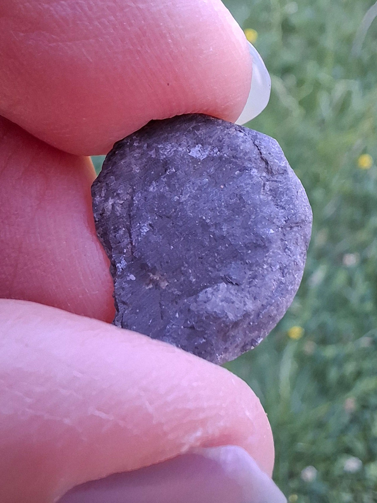 Small Haematite Ammonite HALF, 1.10g, Fossil (Ref: MA9)