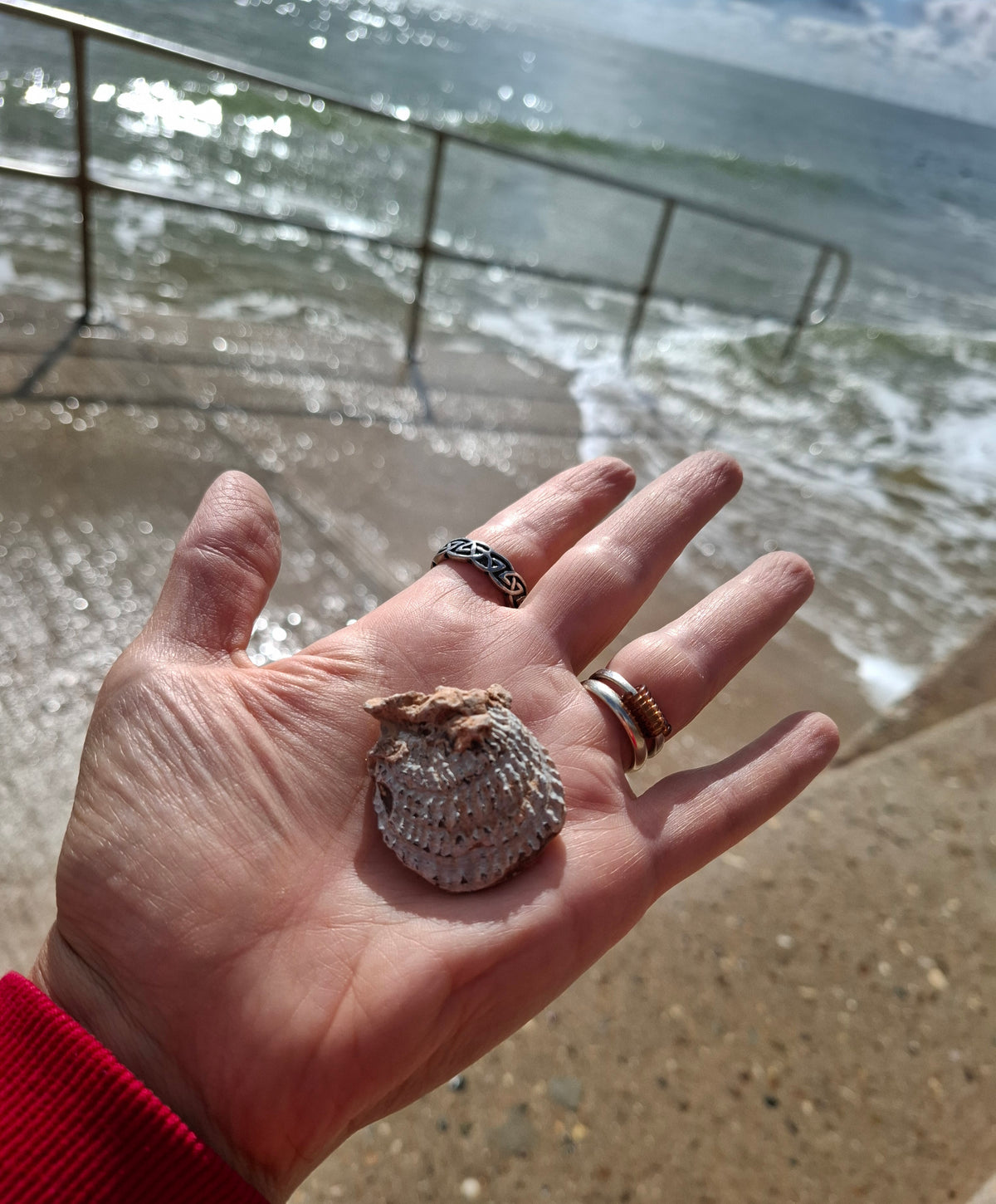 Chalcedony Oyster, Fossil (Ref: FO1)