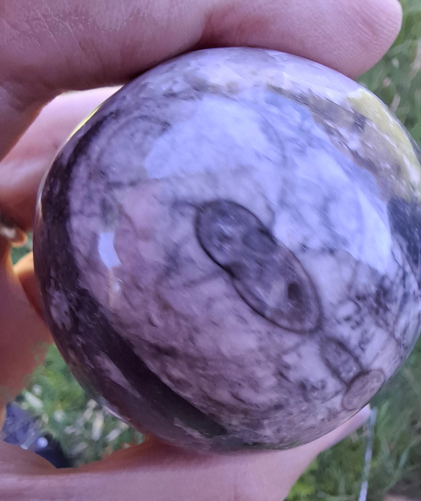 Orthoceras Sphere, Fossil (Ref: OS2)