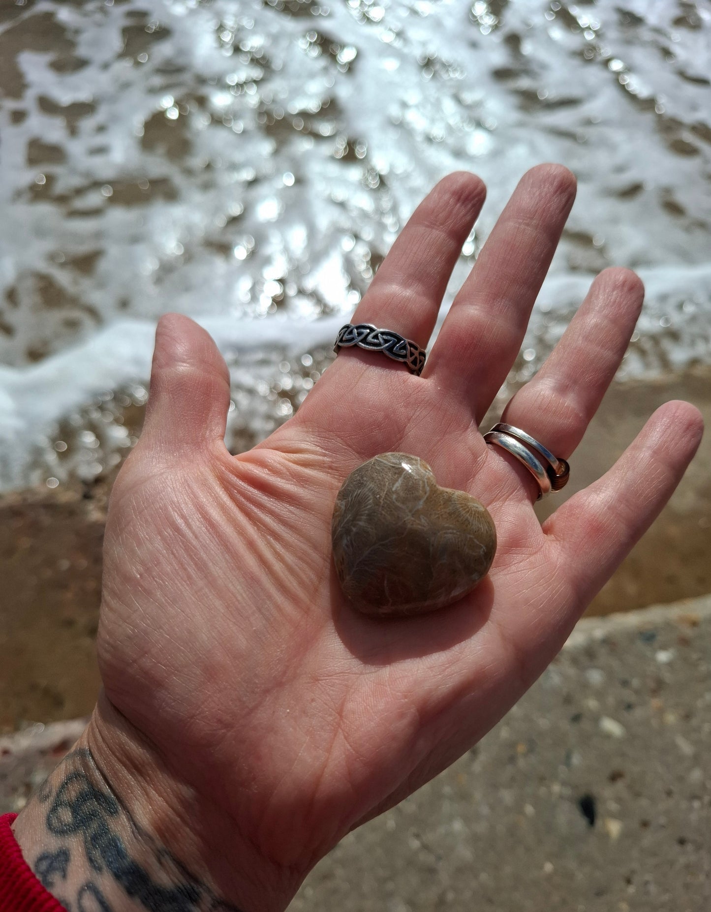 Fossil Coral Heart, (Ref:CoH1)