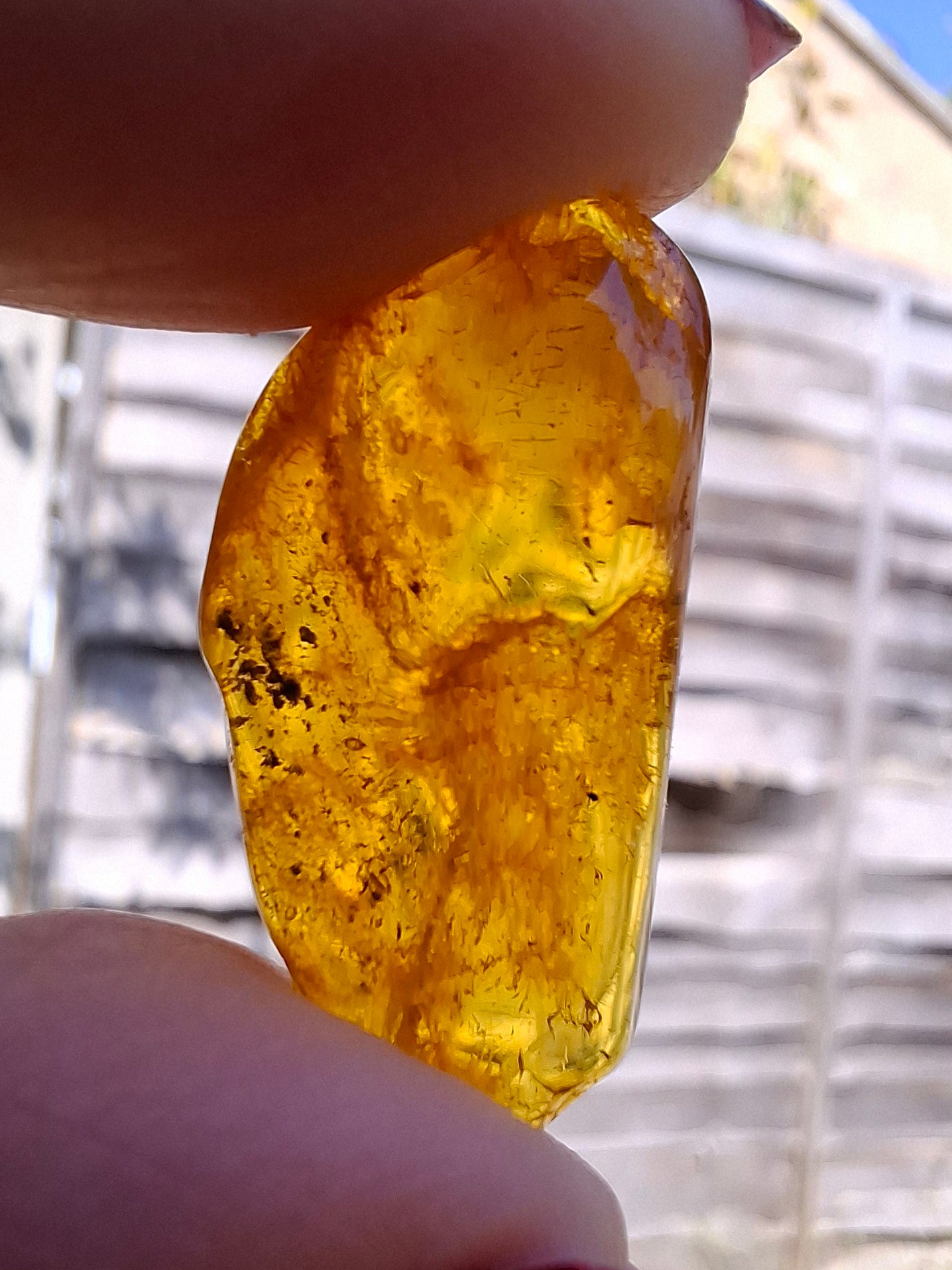 Baltic Amber, 1.39g, Fossil (Ref: A181)