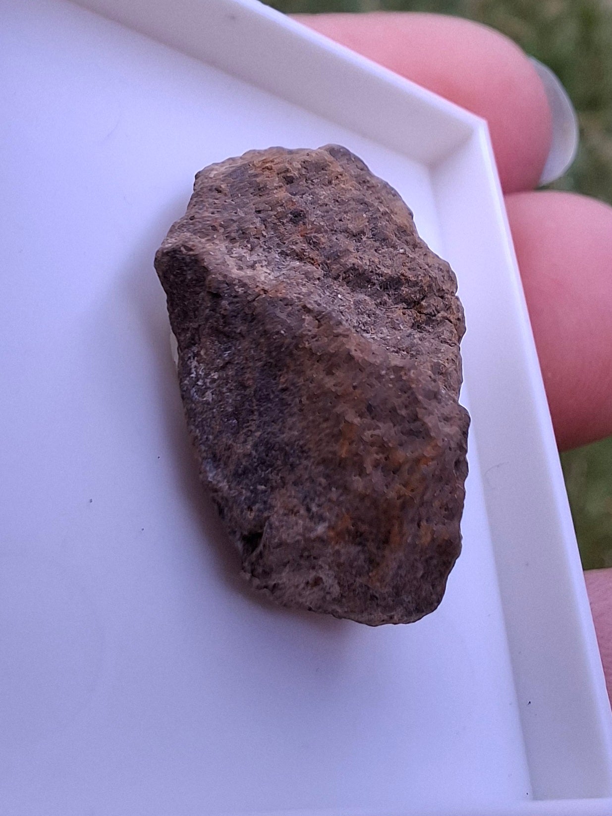 Chondrite, Meteorite (Ref: CM7)
