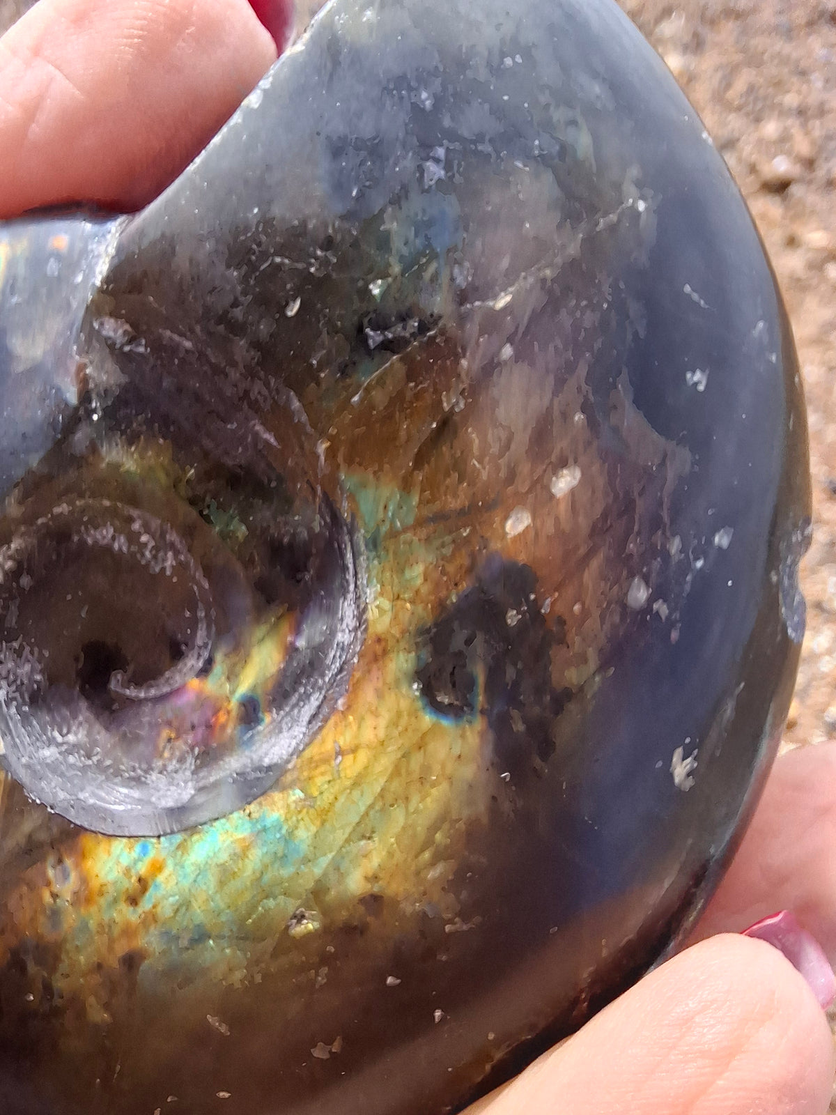 Labradorite Ammonite Carving, 160.21g, Crystal (Ref: laba4)