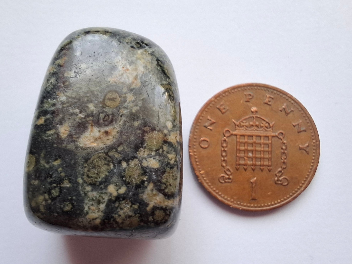 Kambaba Jasper, Tumble Stone, Crystal (Ref: T164)