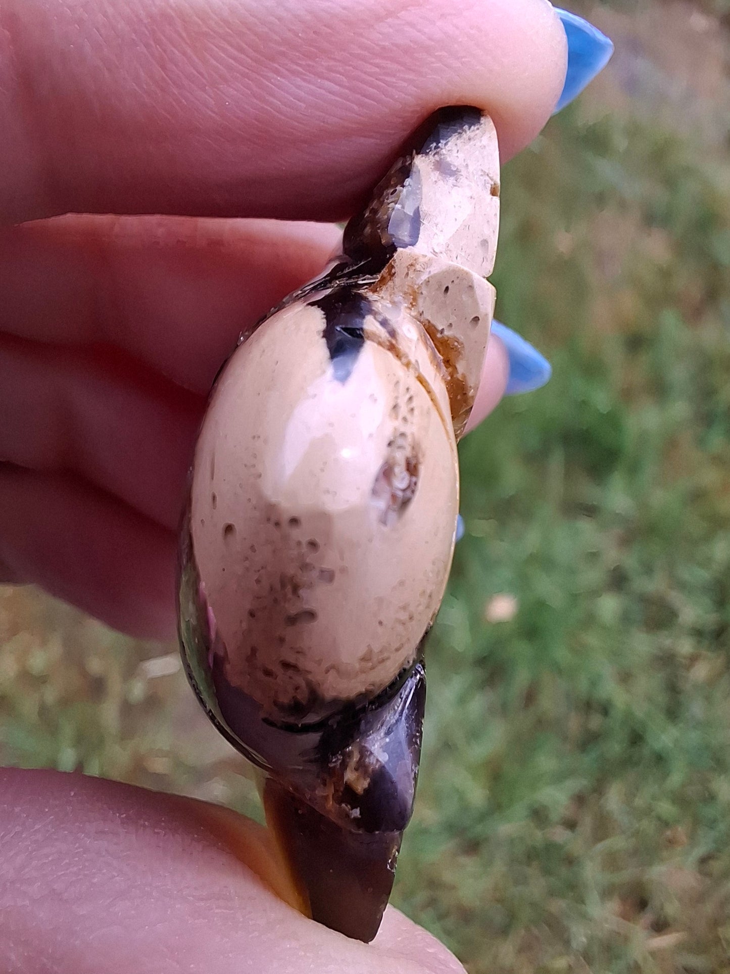 Red Amber Honey Bee Carving, 7.00g, Fossil (Ref: Bee31)