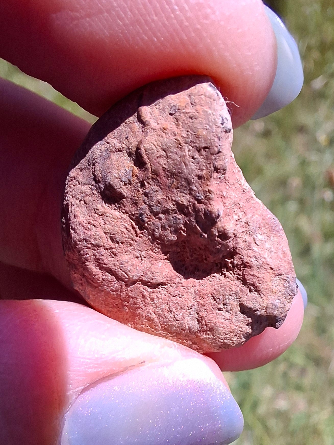 Small Haematite Ammonite HALF, 2.59g, Fossil (Ref: MA7)