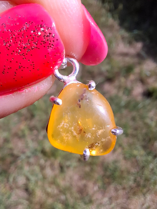 Baltic Amber Pendant, 925 Silver, Fossil (Ref: AP20)