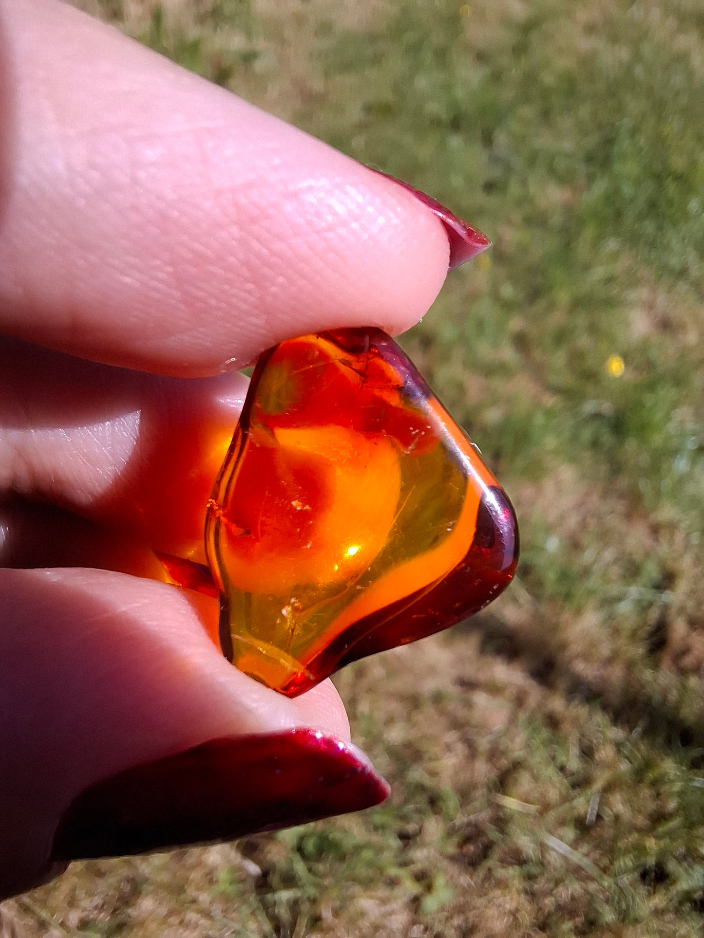 Baltic Amber, 0.88g, Fossil (Ref: A254)