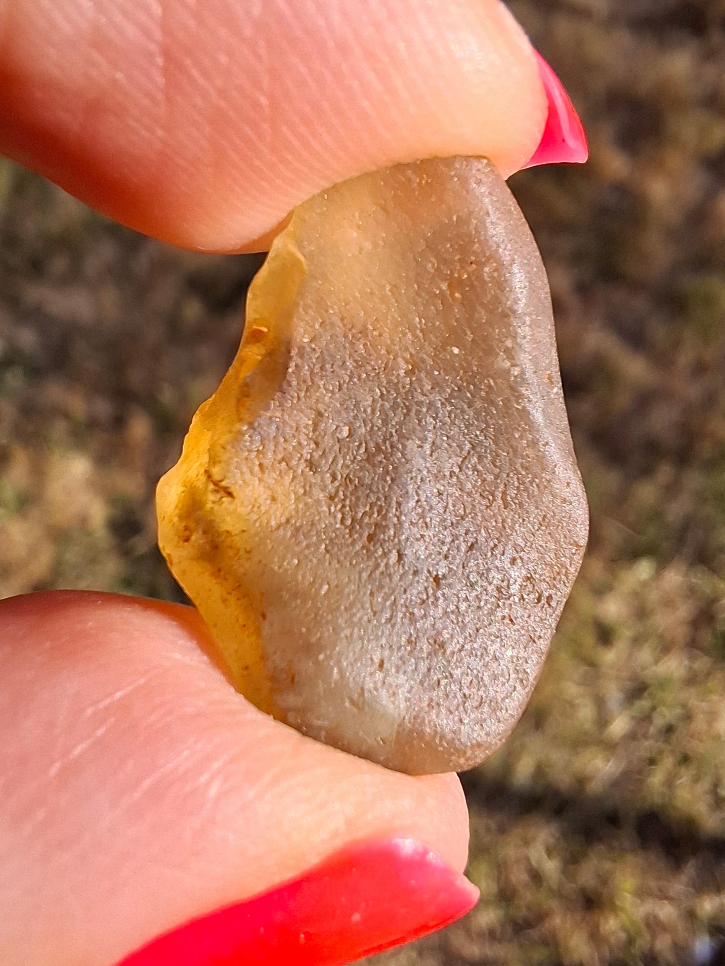 Libyan Desert Glass (darker) Piece, 3.72g, Tektite (Ref: L1378)
