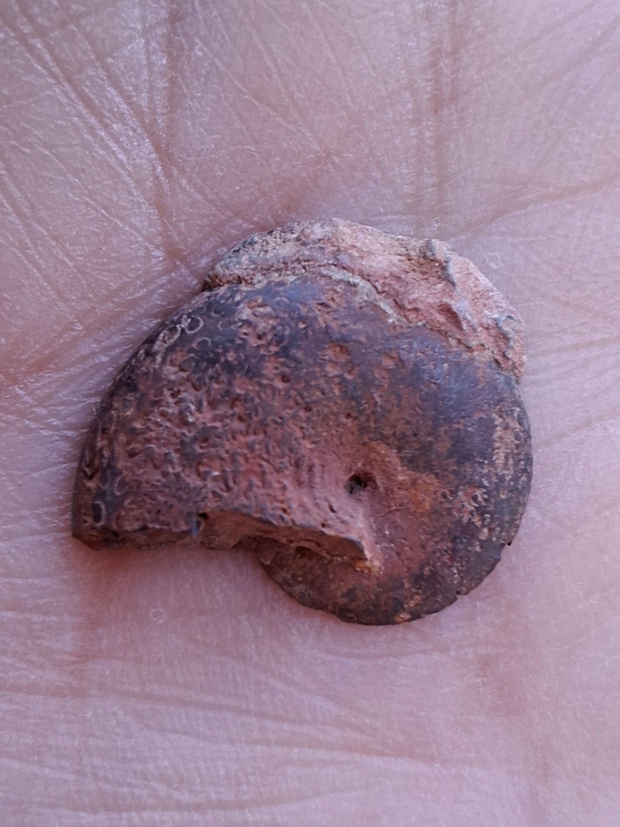 Small Haematite Ammonite HALF, 1.32g, Fossil (Ref: MA5)