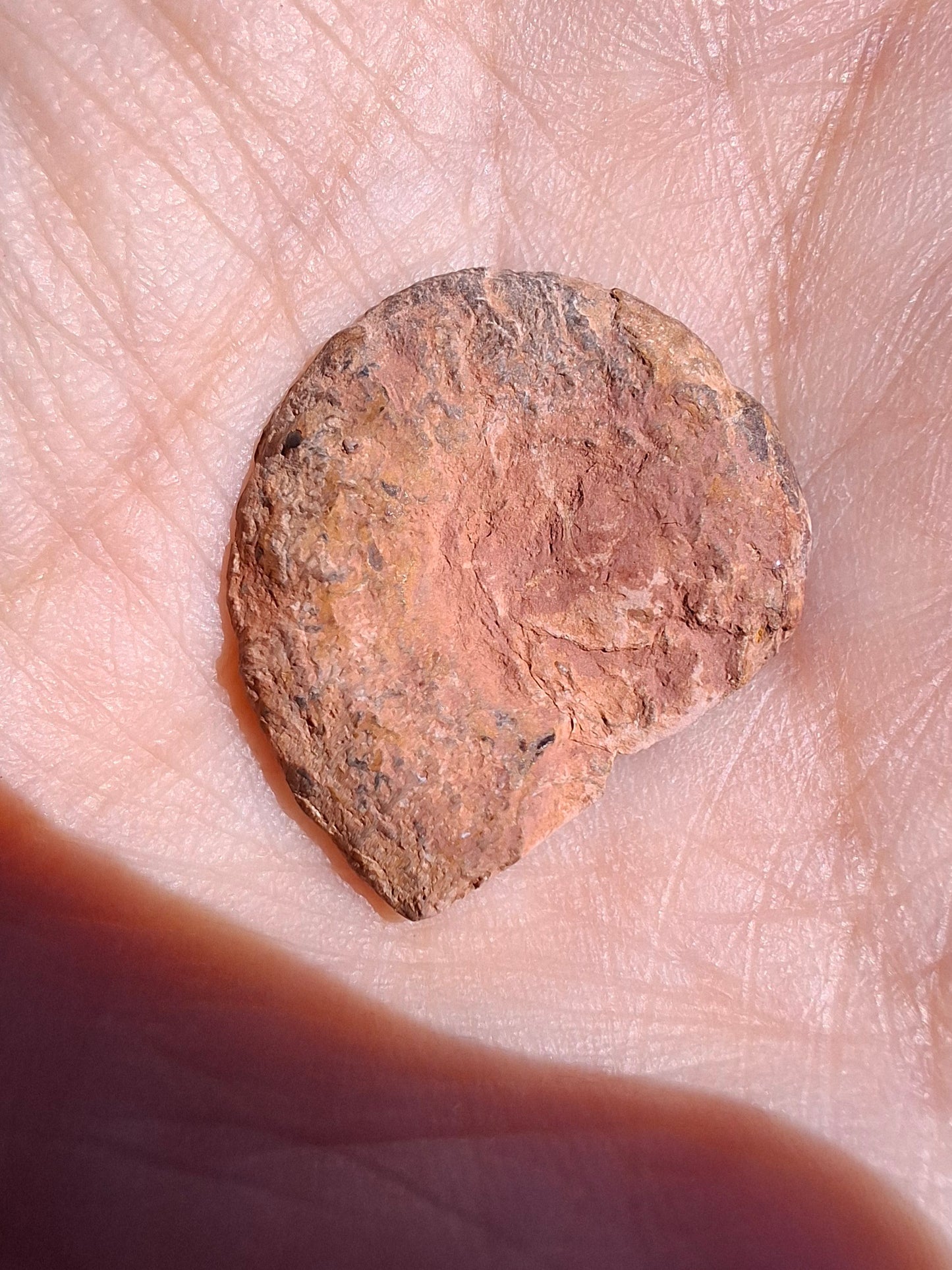 Small Haematite Ammonite HALF, 1.66g, Fossil (Ref: MA2)