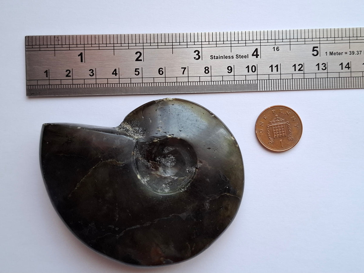 Labradorite Ammonite Carving, 160.21g, Crystal (Ref: laba4)