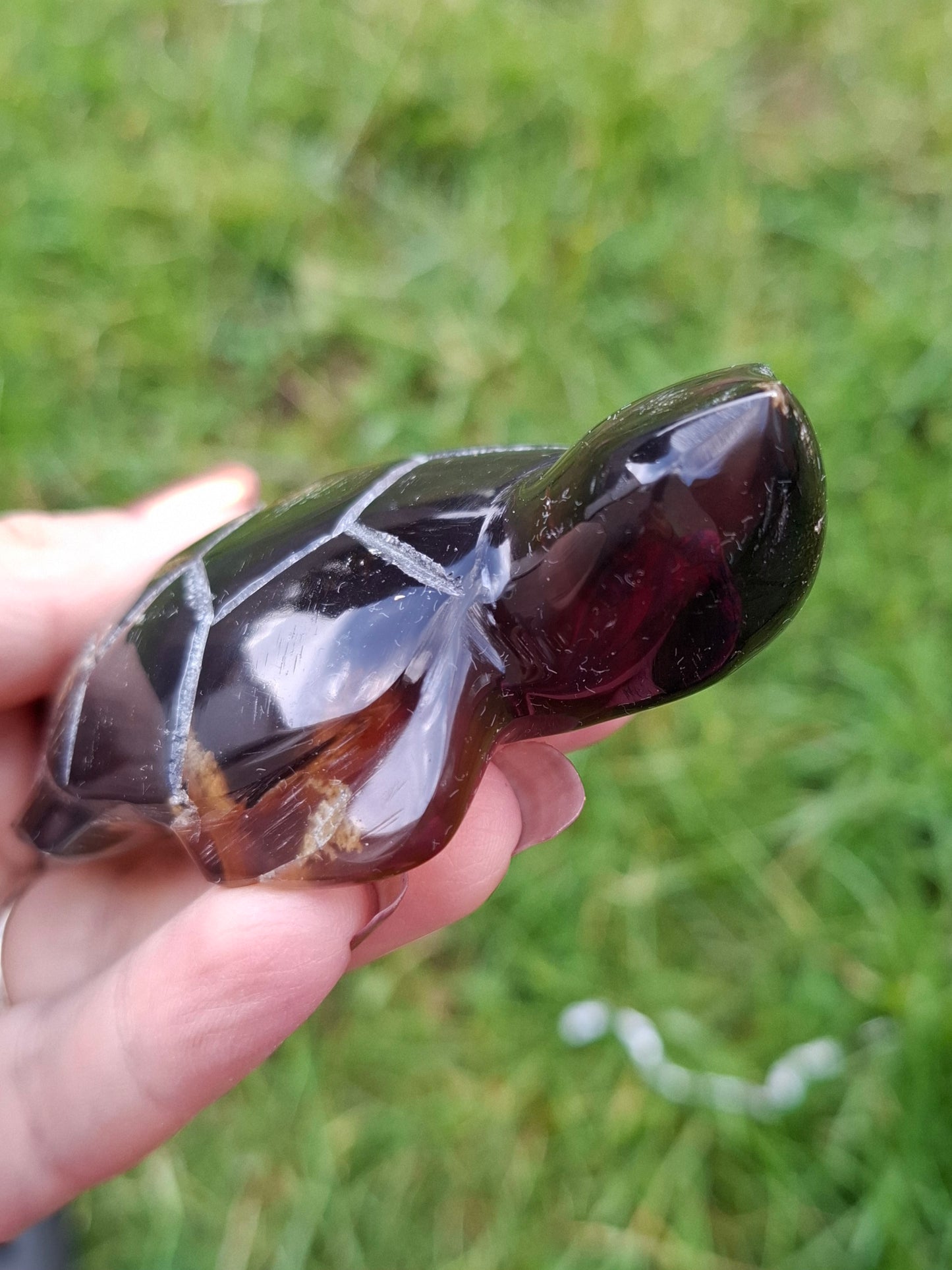 Red Amber Turtle, 52.00g, Carving, Fossil (Ref: TT3)